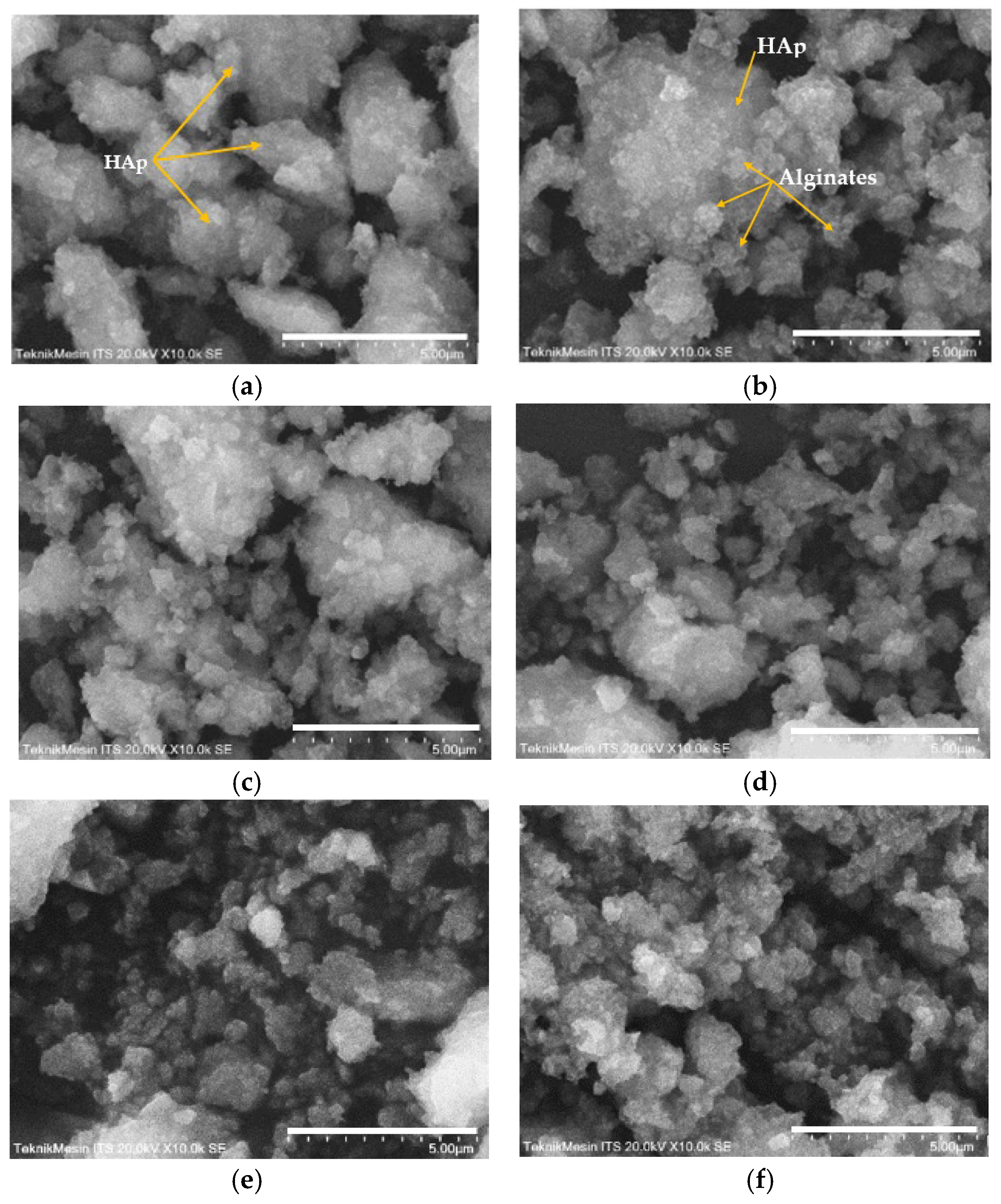 Polymers 15 00614 g004 Polymers 15 00614 g004