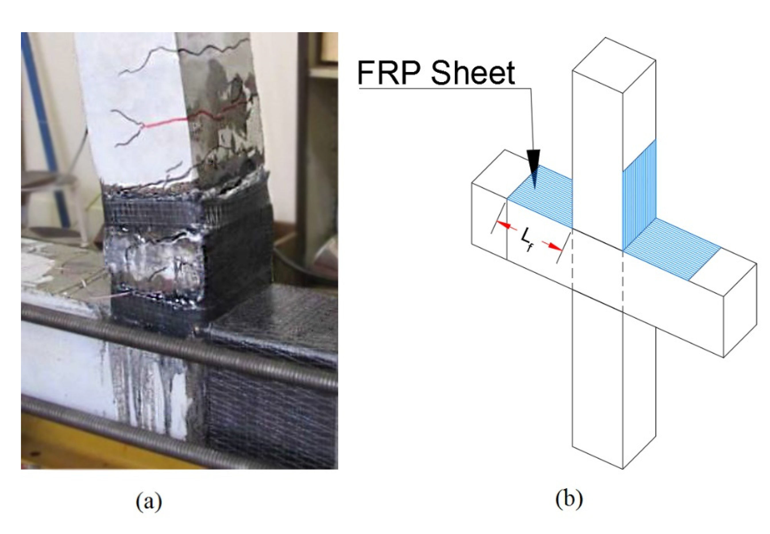 Polymers 15 00618 g006