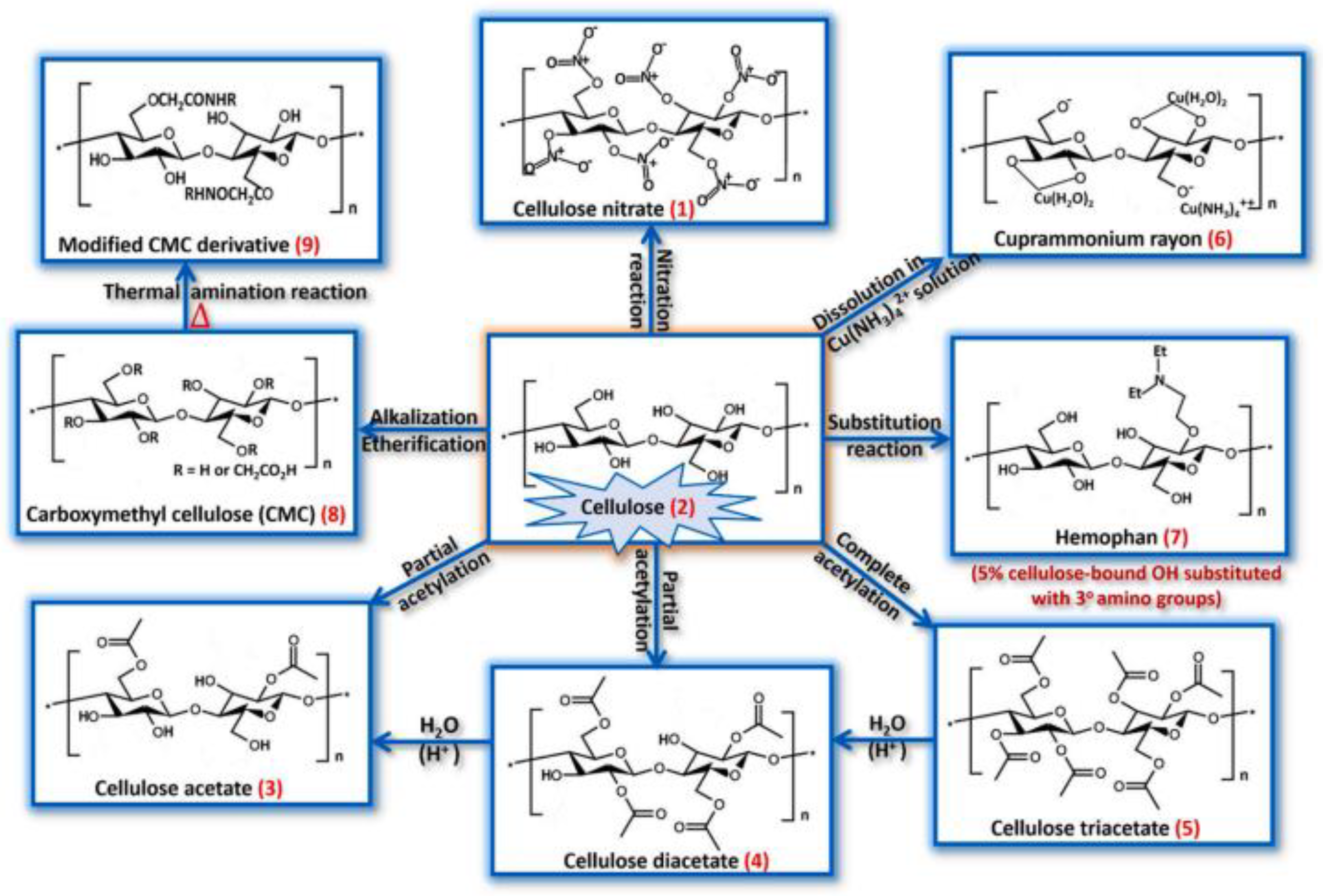 Polymers 15 00619 g002 Polymers 15 00619 g002