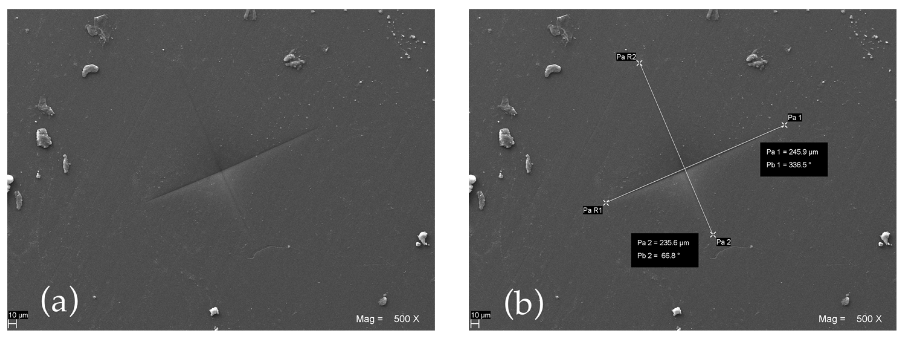 Polymers 15 00622 g007