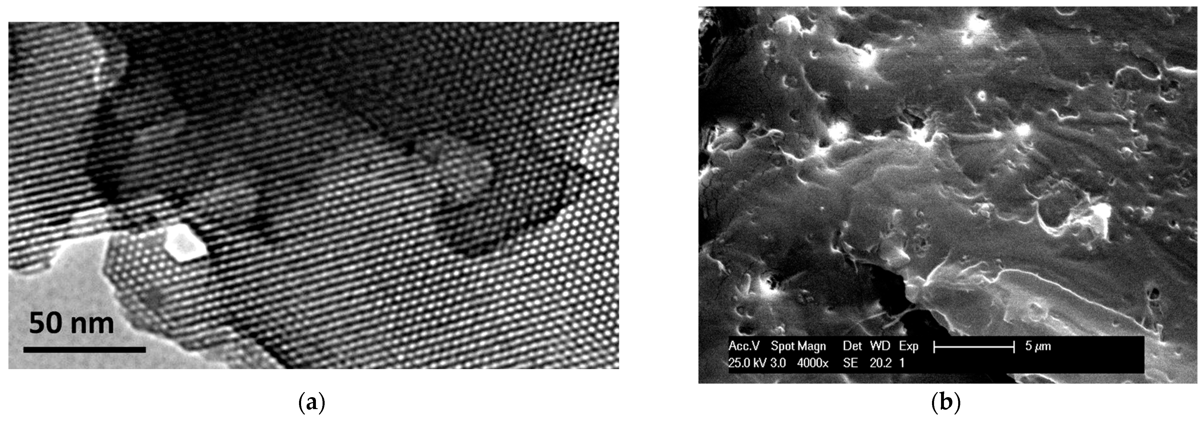 Polymers 15 00624 g001