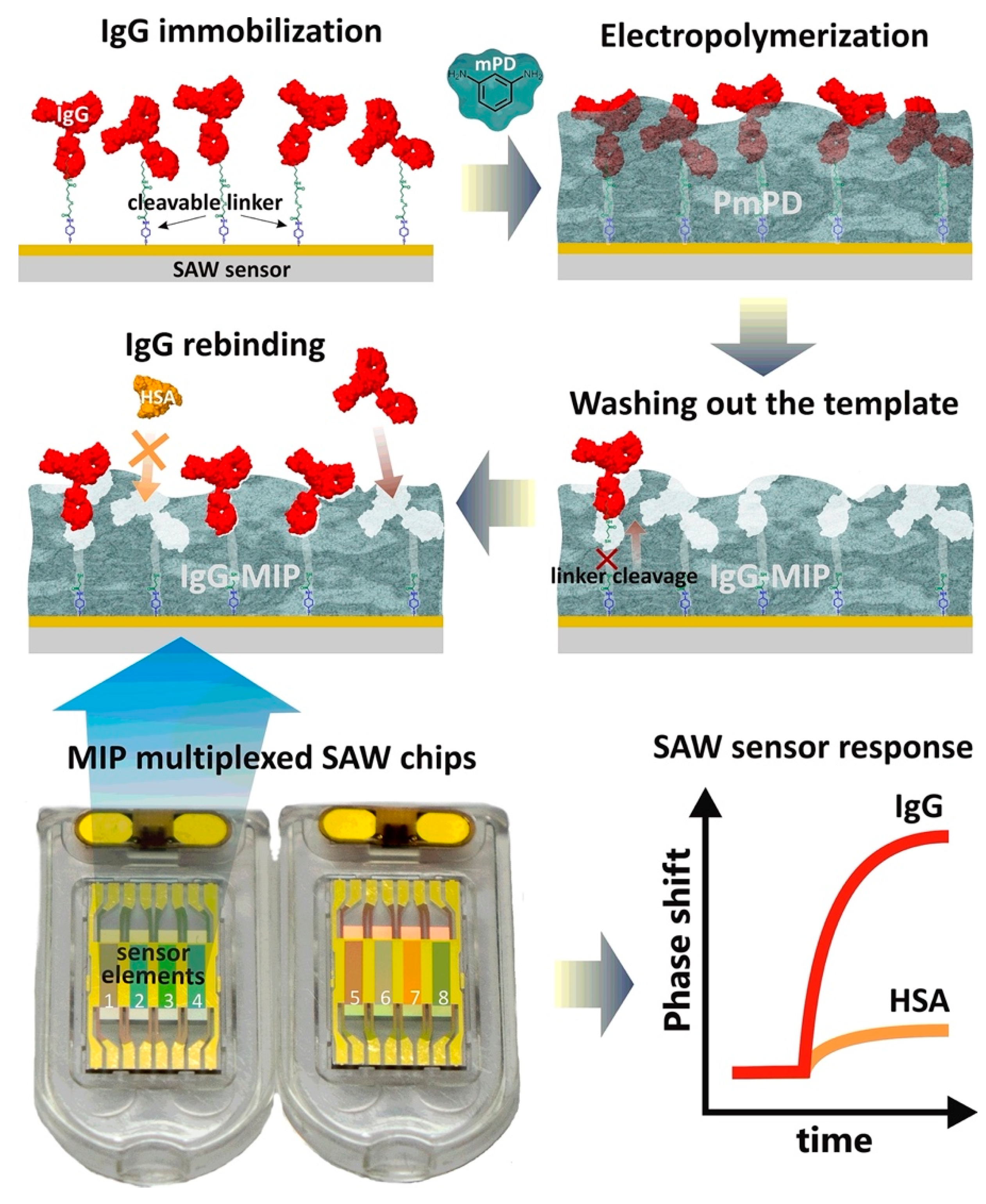 Polymers 15 00629 g007 Polymers 15 00629 g007