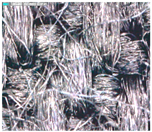 Polymers 15 00633 i004