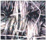 Polymers 15 00633 i006