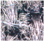 Polymers 15 00633 i008