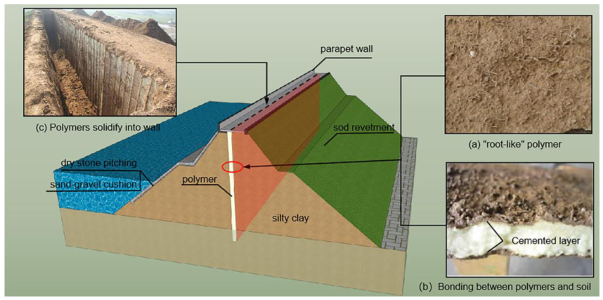 Polymers 15 00634 g001