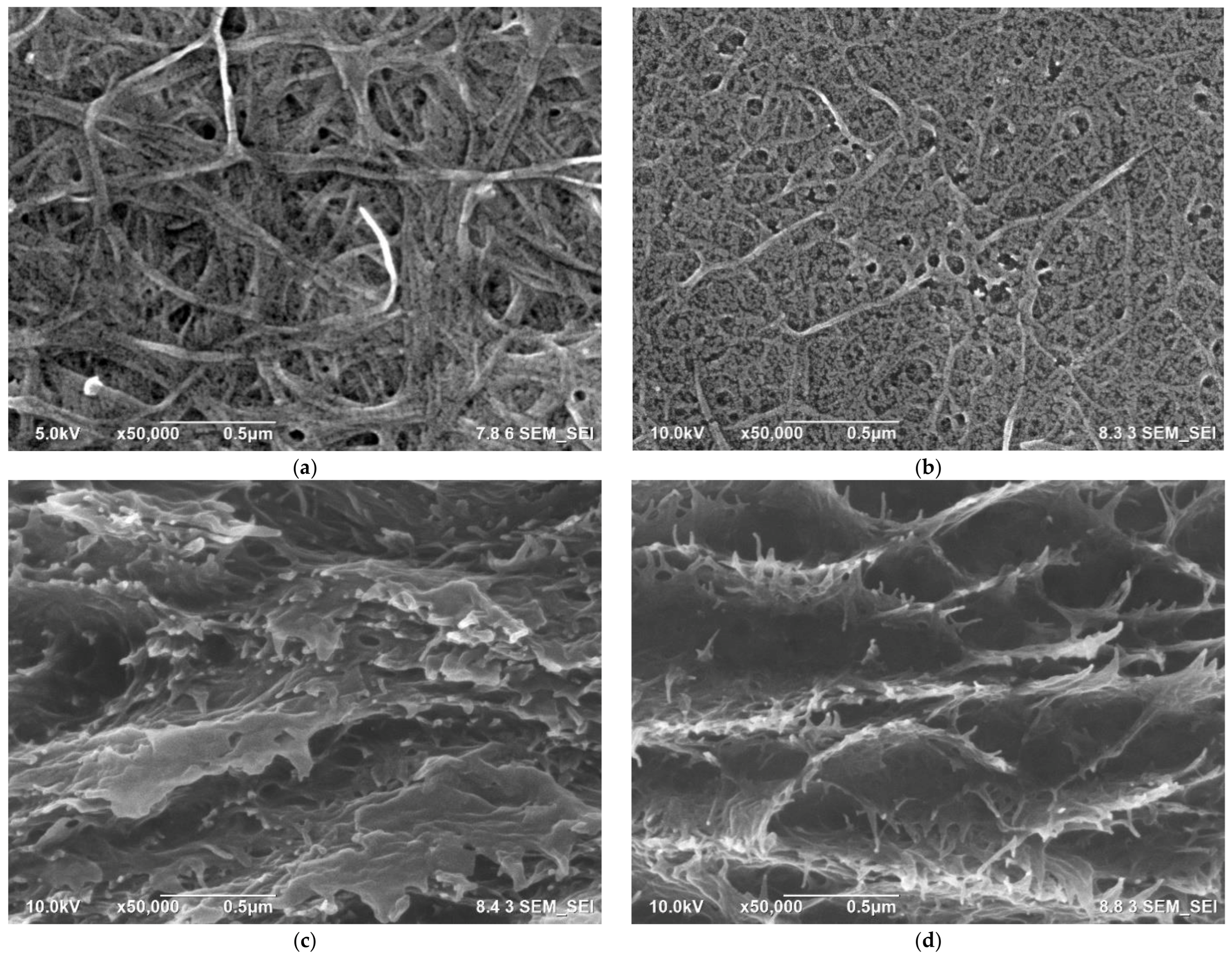 Polymers 15 00643 g002a Polymers 15 00643 g002a