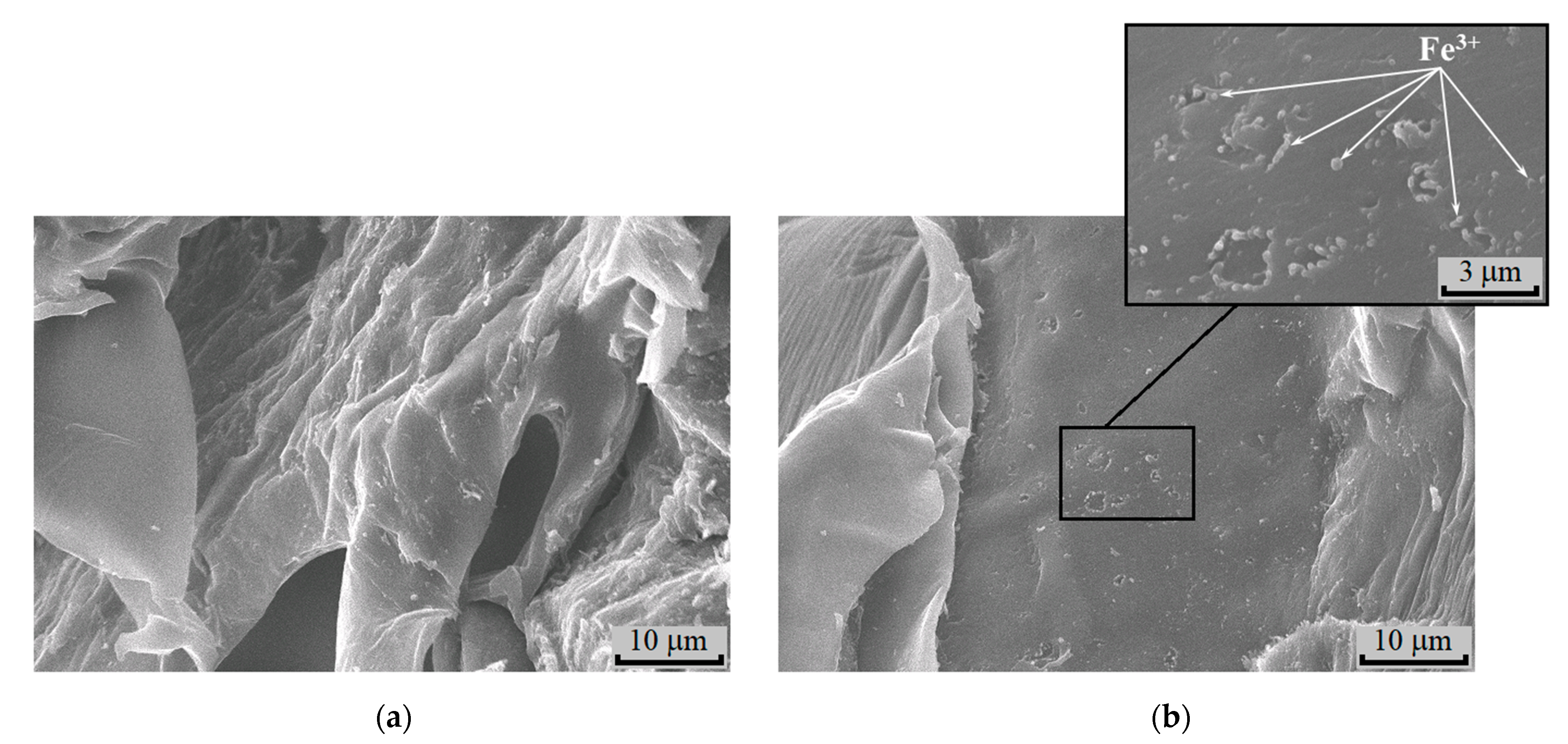 Polymers 15 00645 g009 Polymers 15 00645 g009