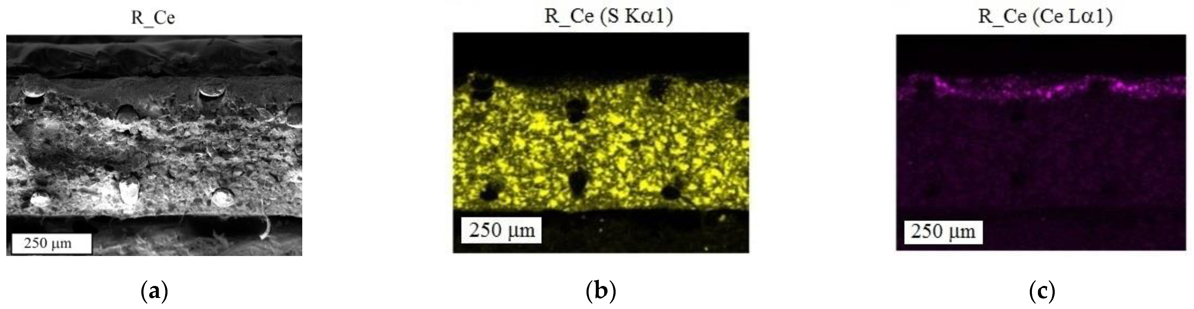 Polymers 15 00647 g001a Polymers 15 00647 g001a