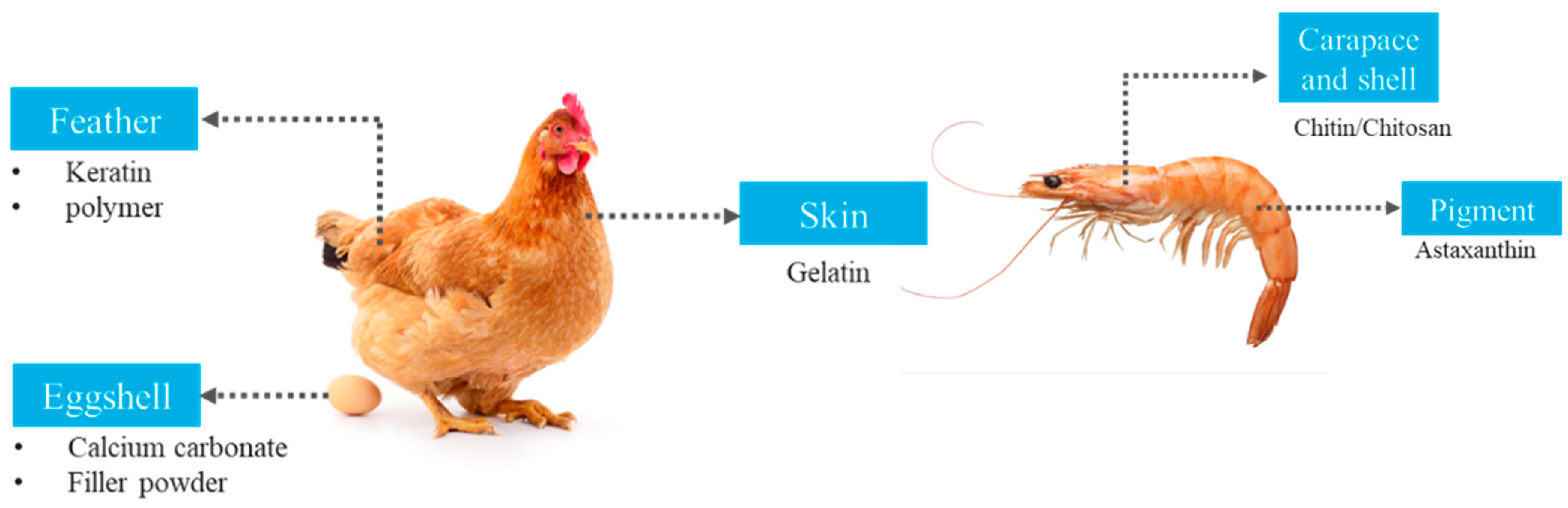 Polymers 15 00648 g004 Polymers 15 00648 g004