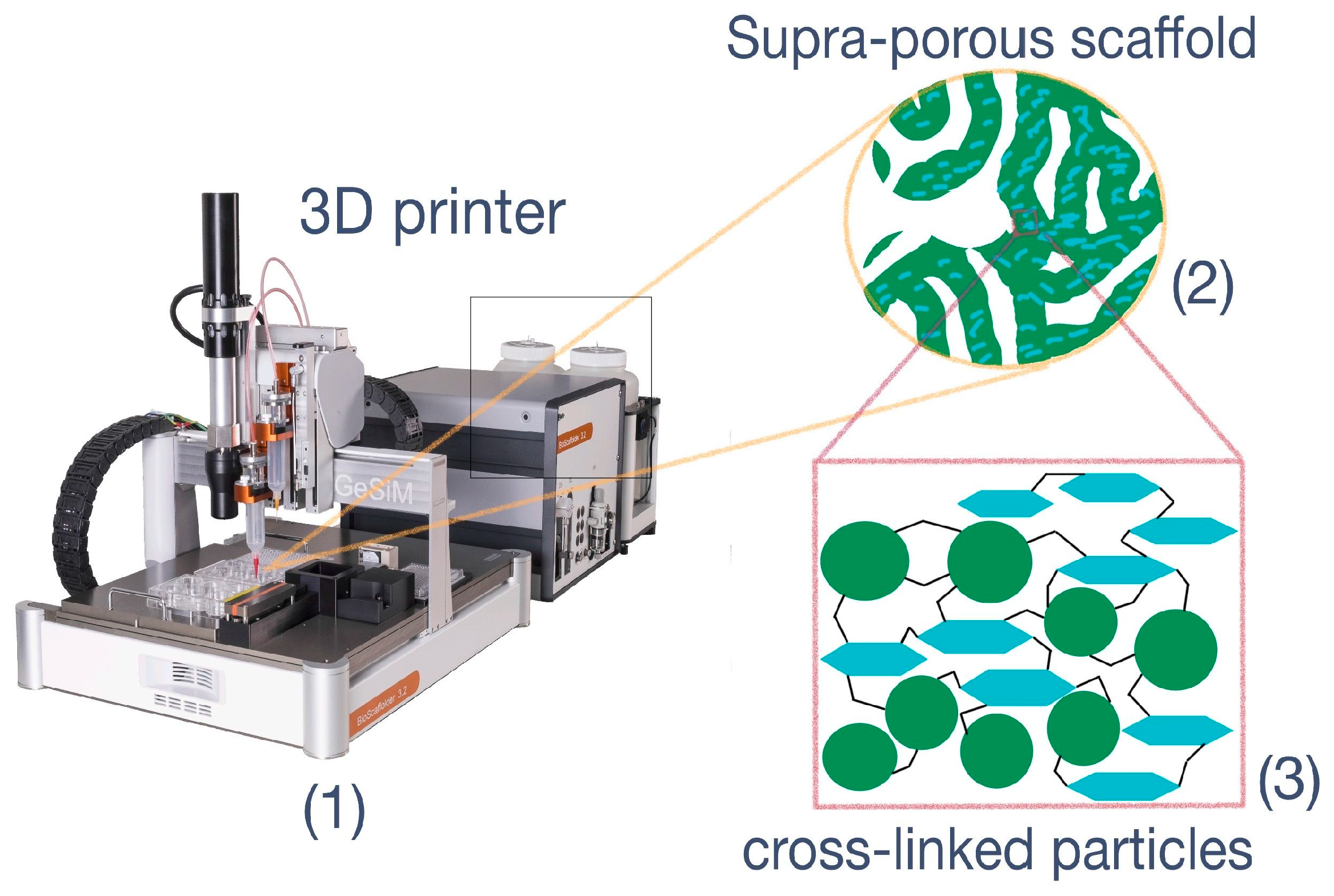Polymers 15 00651 g001 Polymers 15 00651 g001