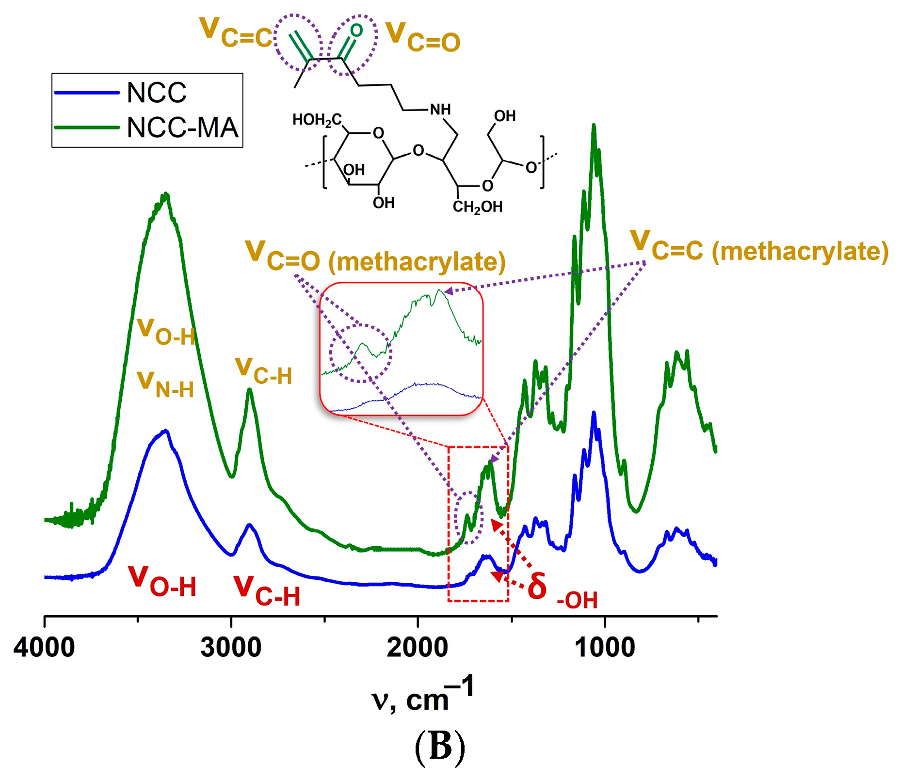 Polymers 15 00651 g003b Polymers 15 00651 g003b