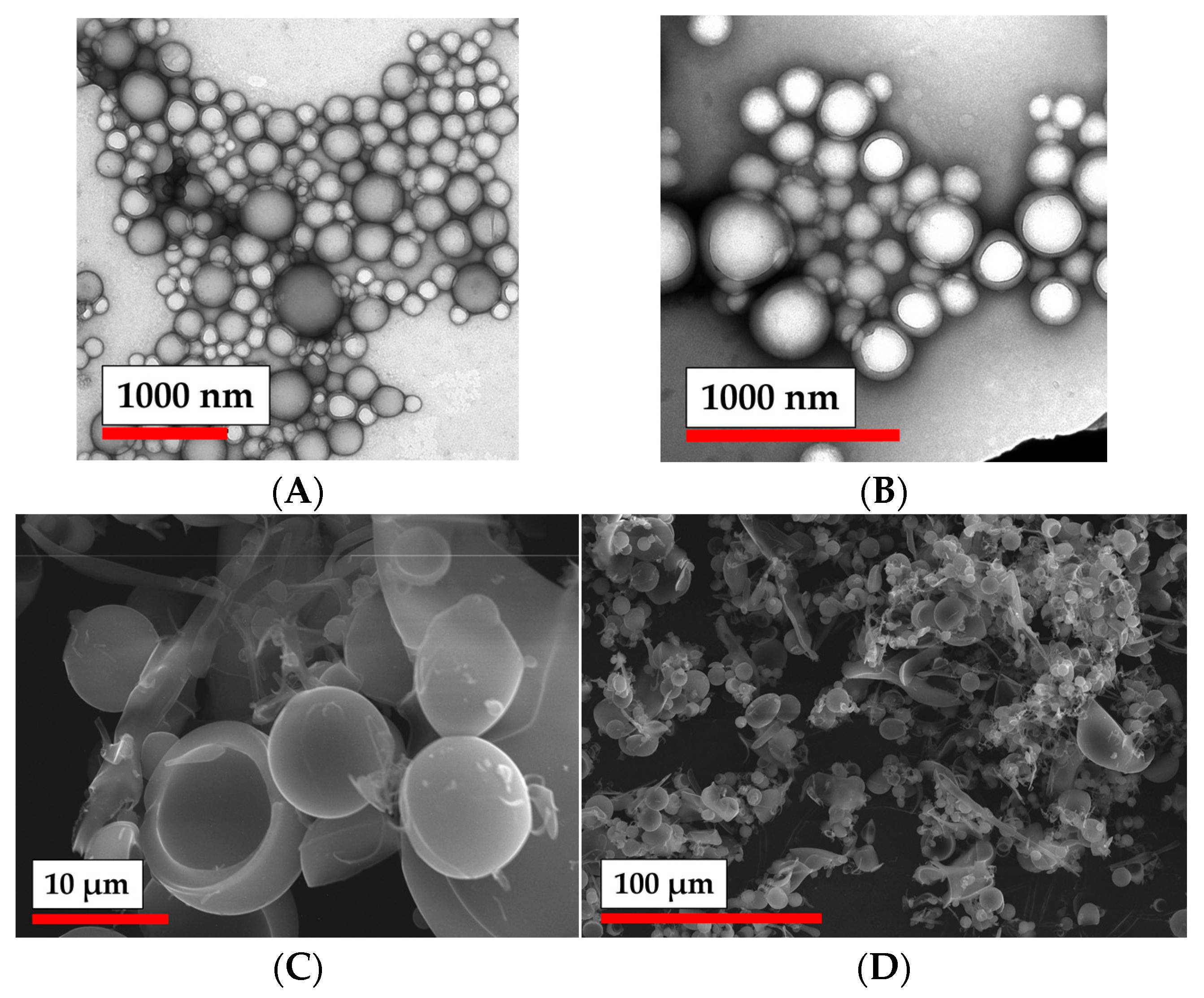Polymers 15 00651 g004 Polymers 15 00651 g004