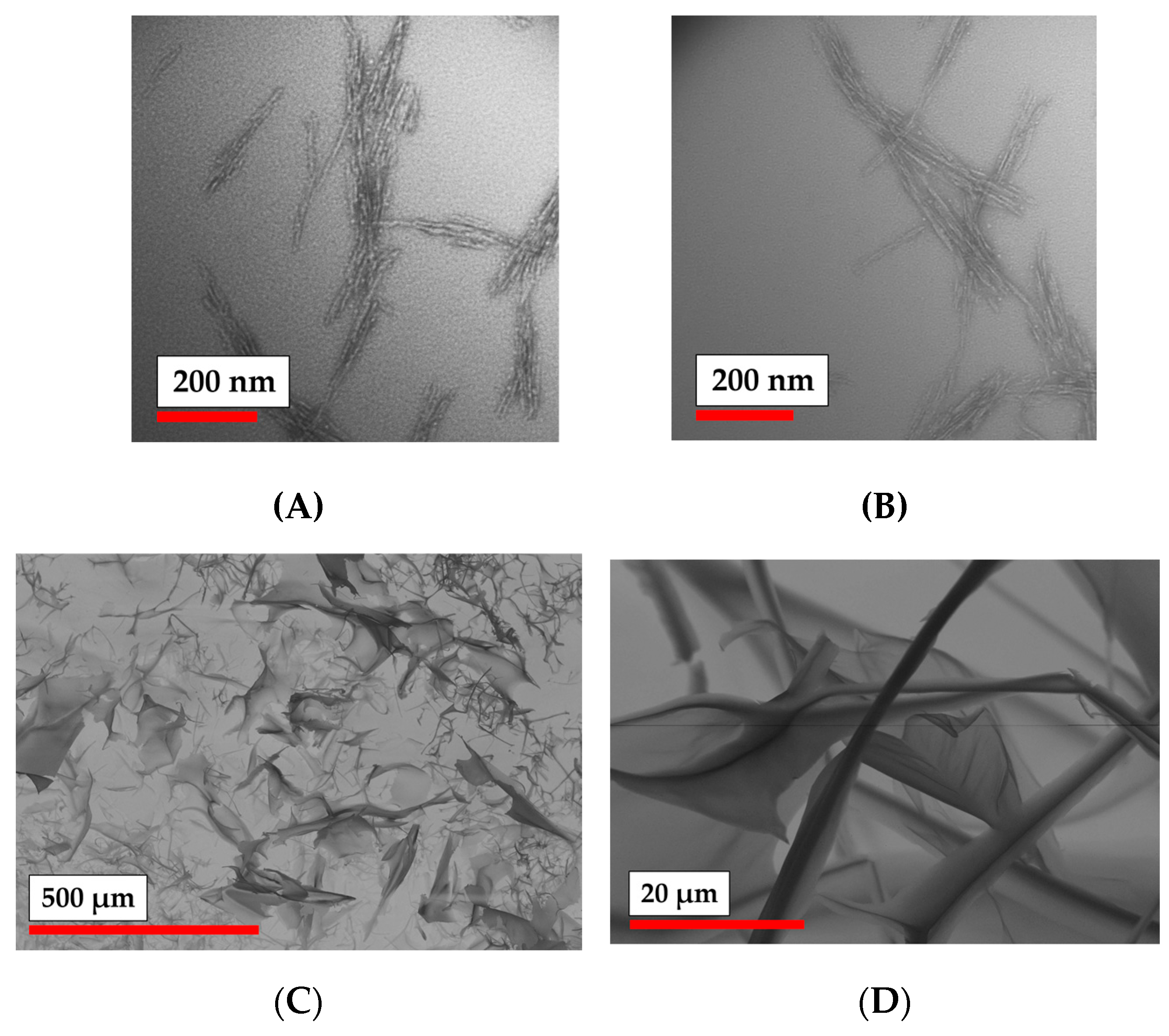 Polymers 15 00651 g005 Polymers 15 00651 g005