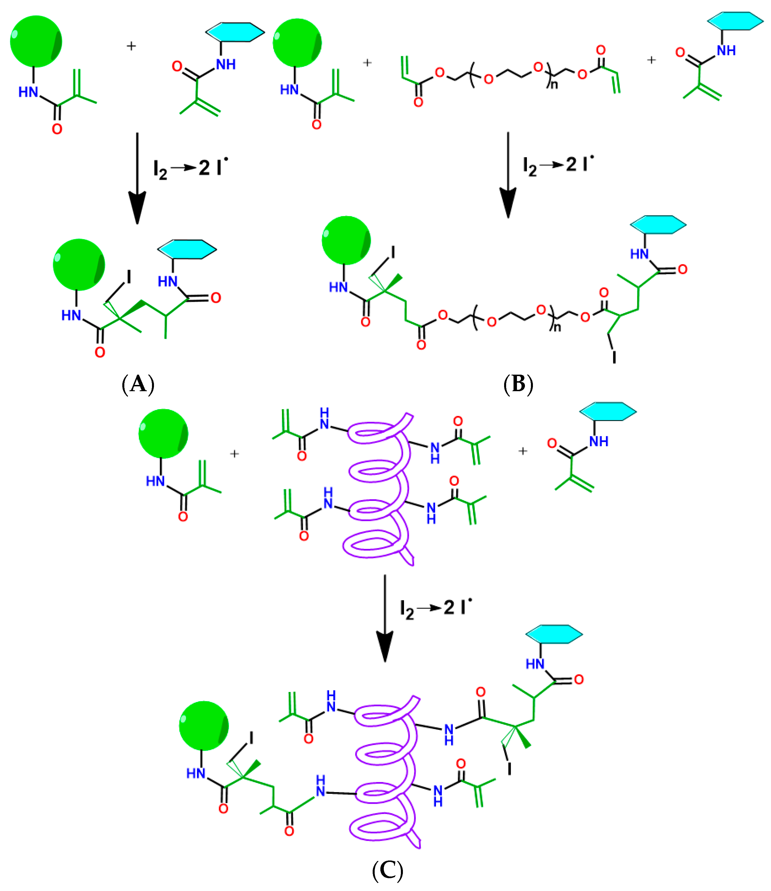 Polymers 15 00651 g007 Polymers 15 00651 g007