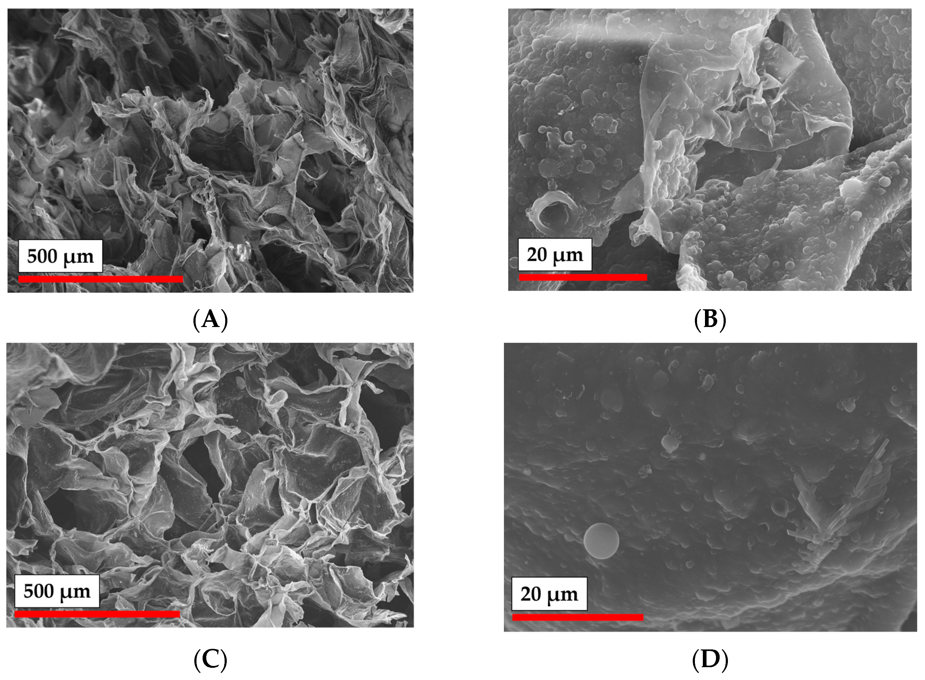 Polymers 15 00651 g010 Polymers 15 00651 g010