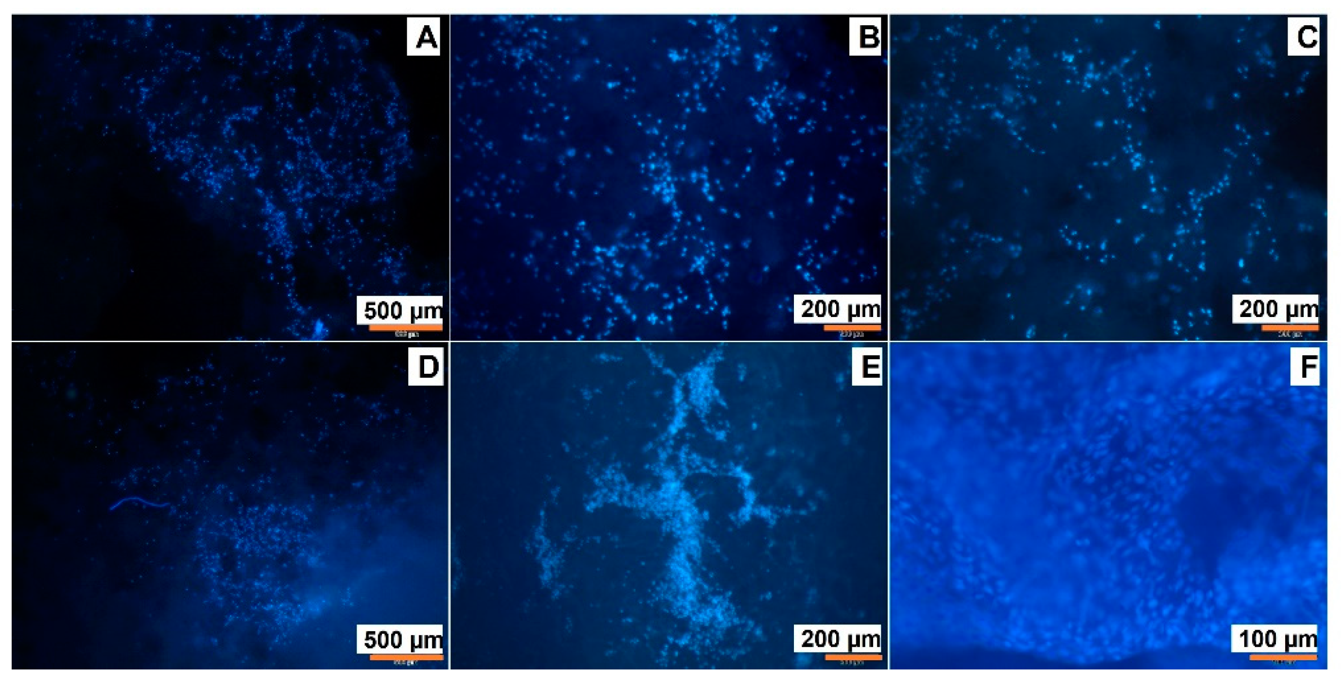 Polymers 15 00651 g013 Polymers 15 00651 g013