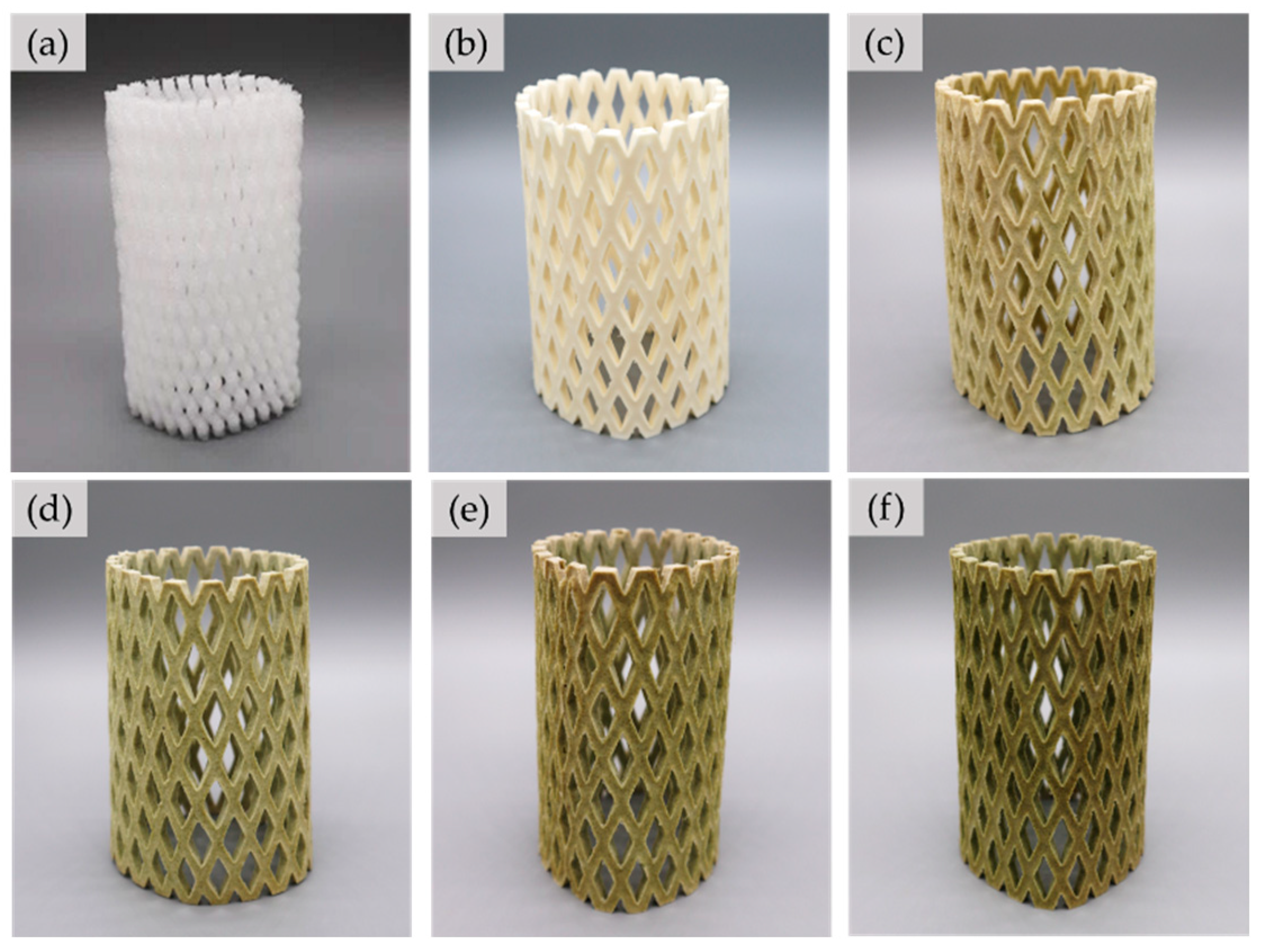 Polymers 15 00654 g005