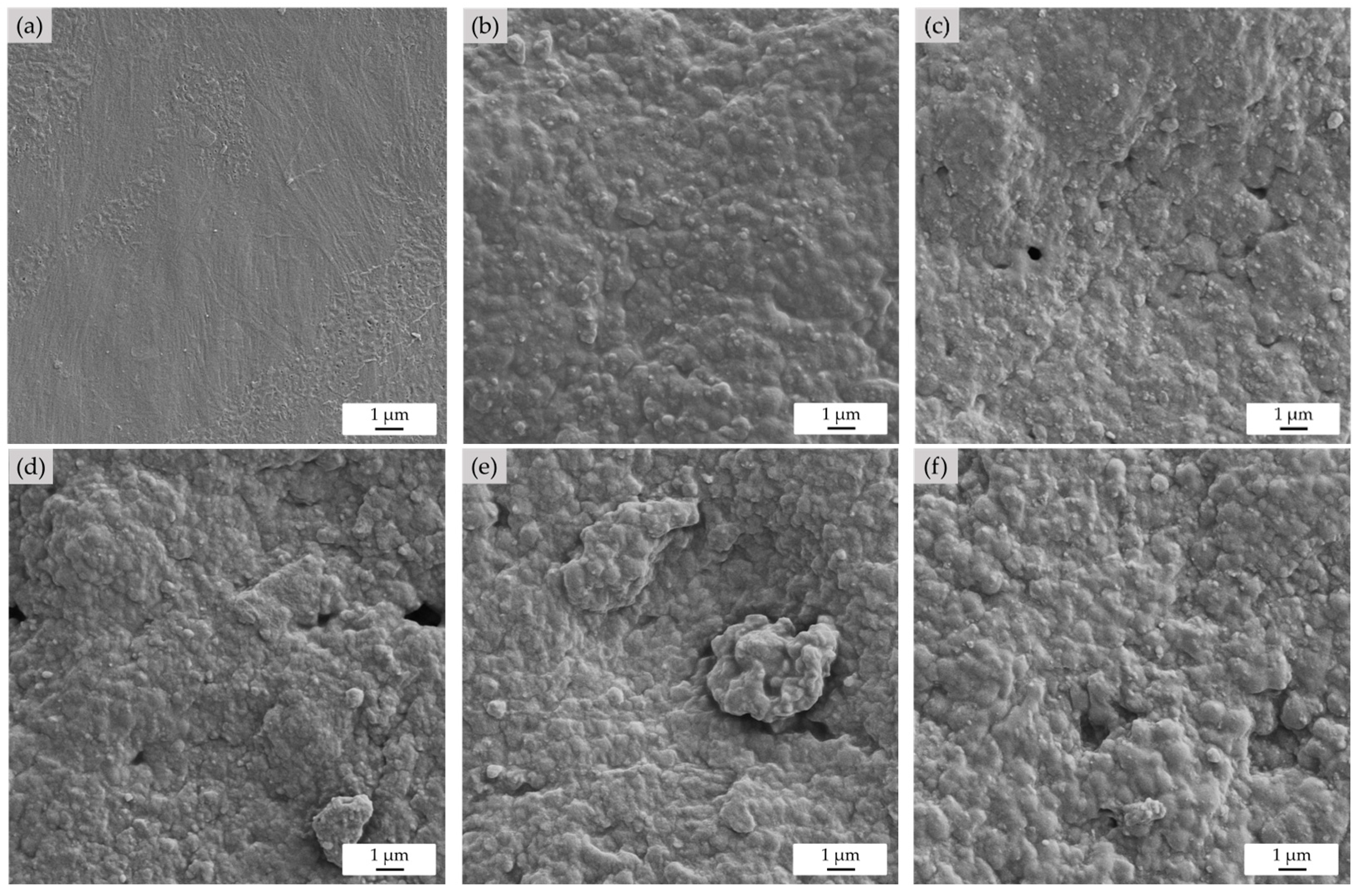 Polymers 15 00654 g007