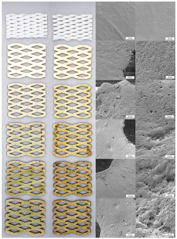 Polymers 15 00654 i001
