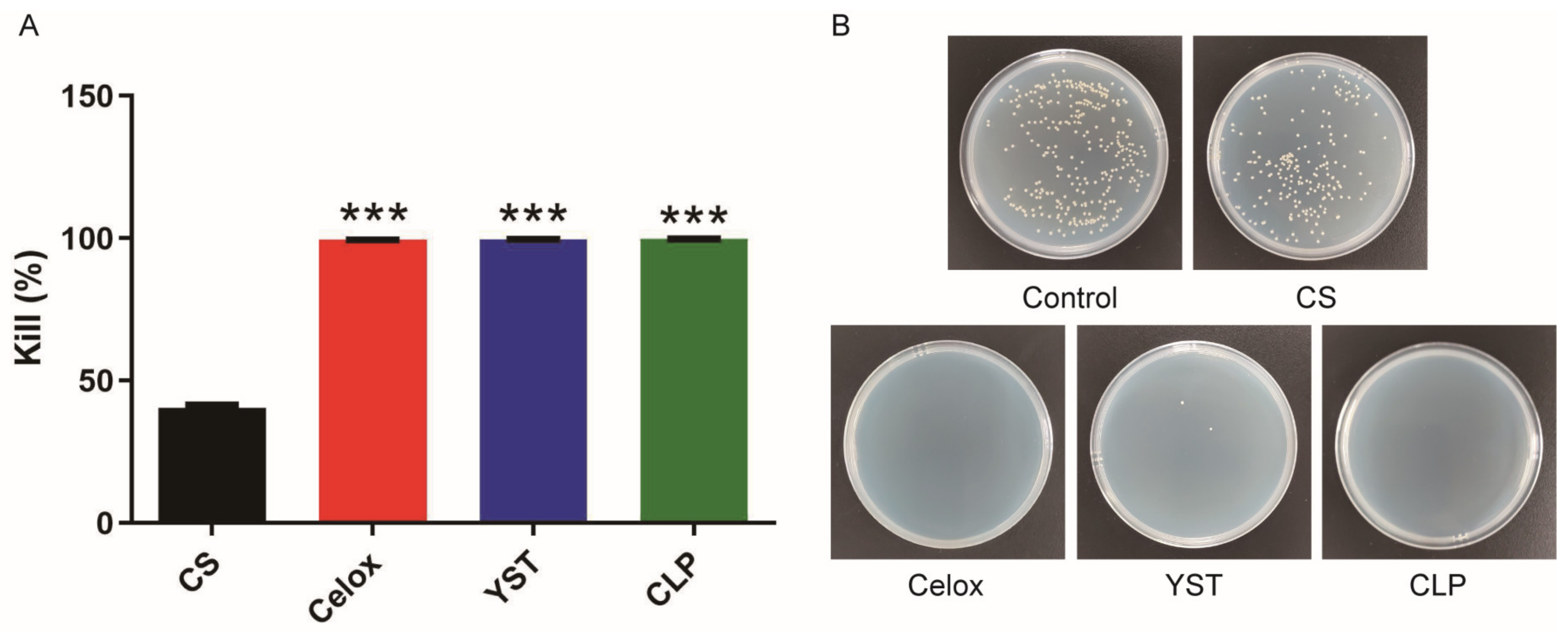 Polymers 15 00656 g002 Polymers 15 00656 g002