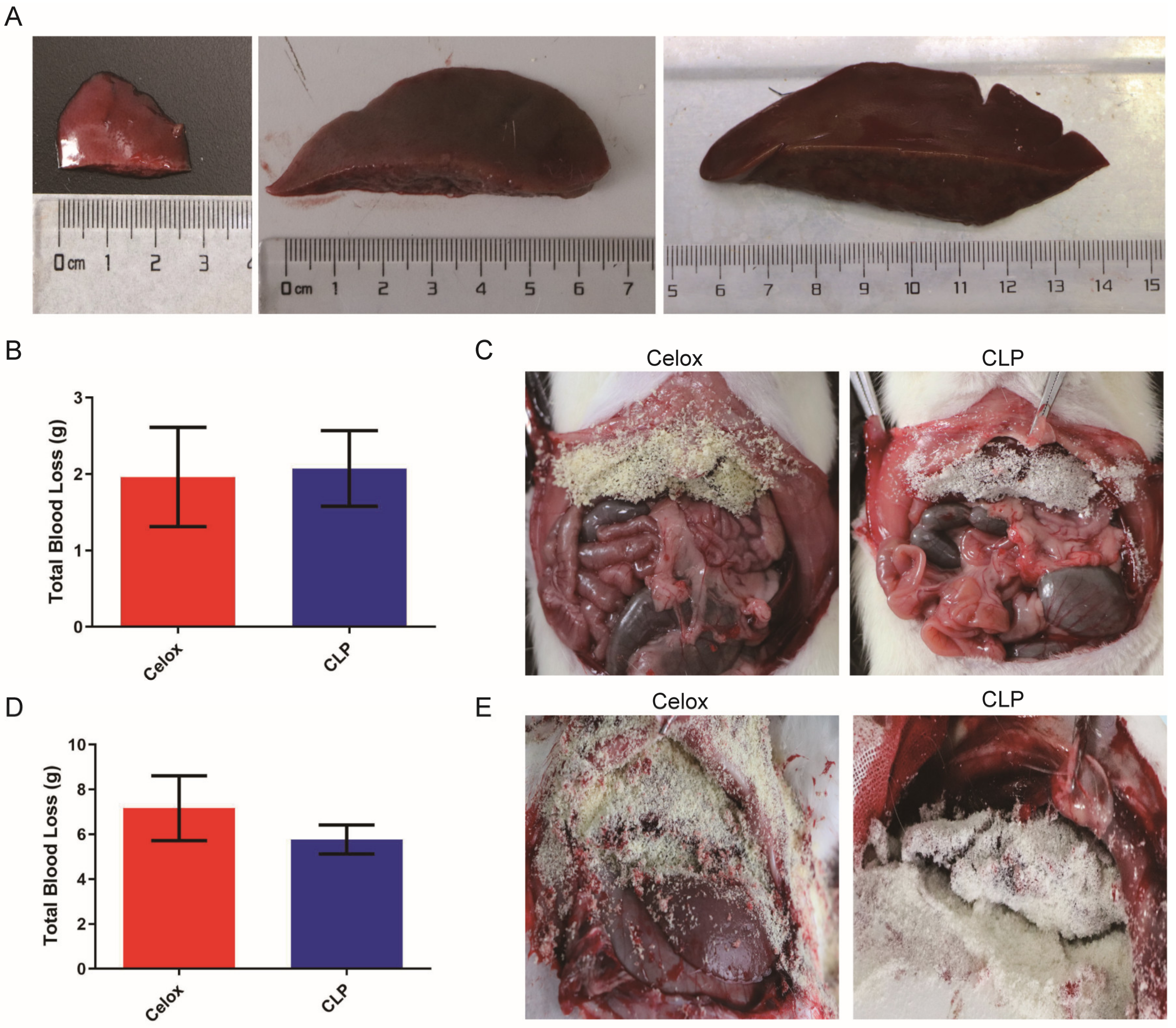 Polymers 15 00656 g005a Polymers 15 00656 g005a