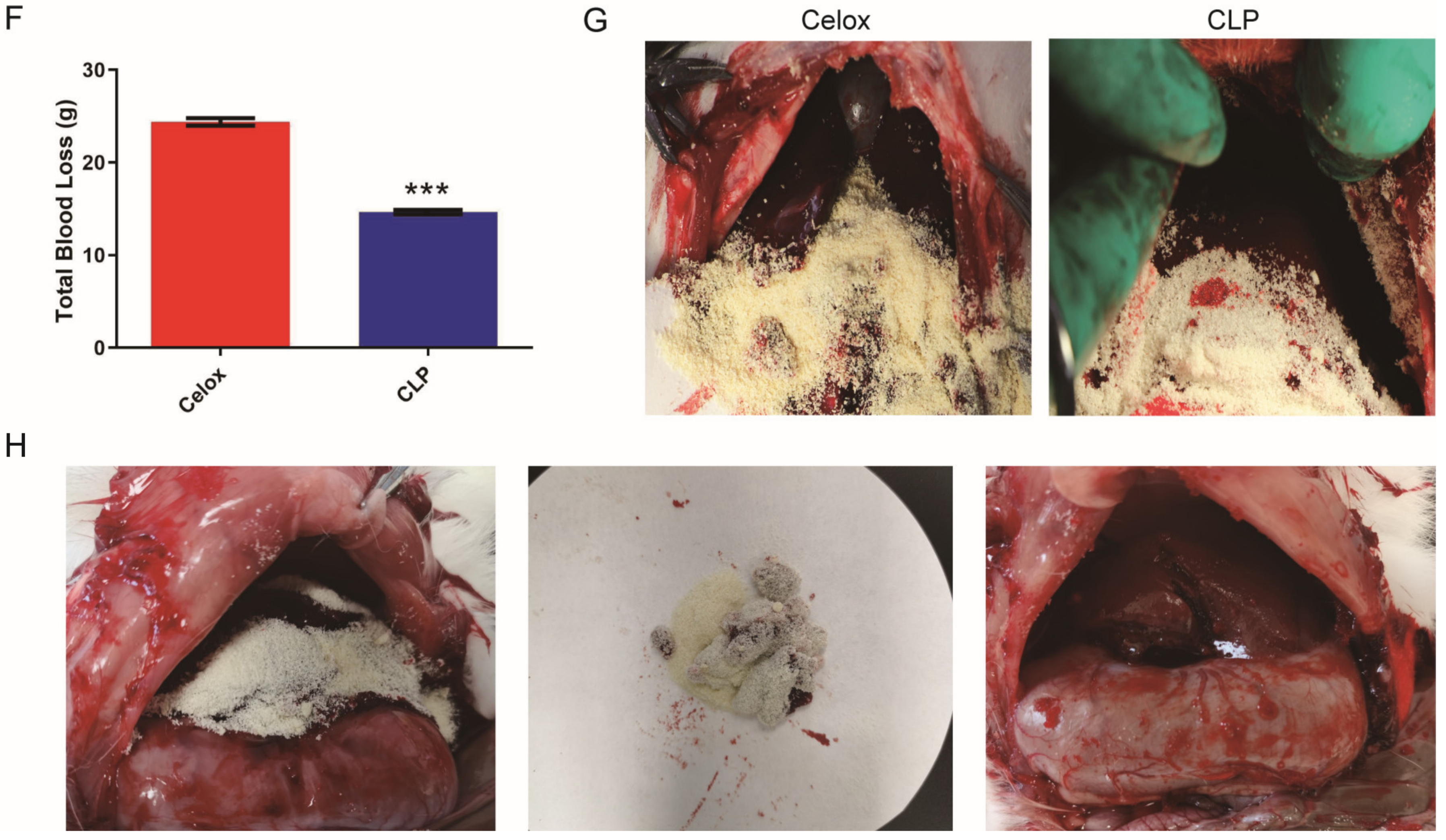 Polymers 15 00656 g005b Polymers 15 00656 g005b