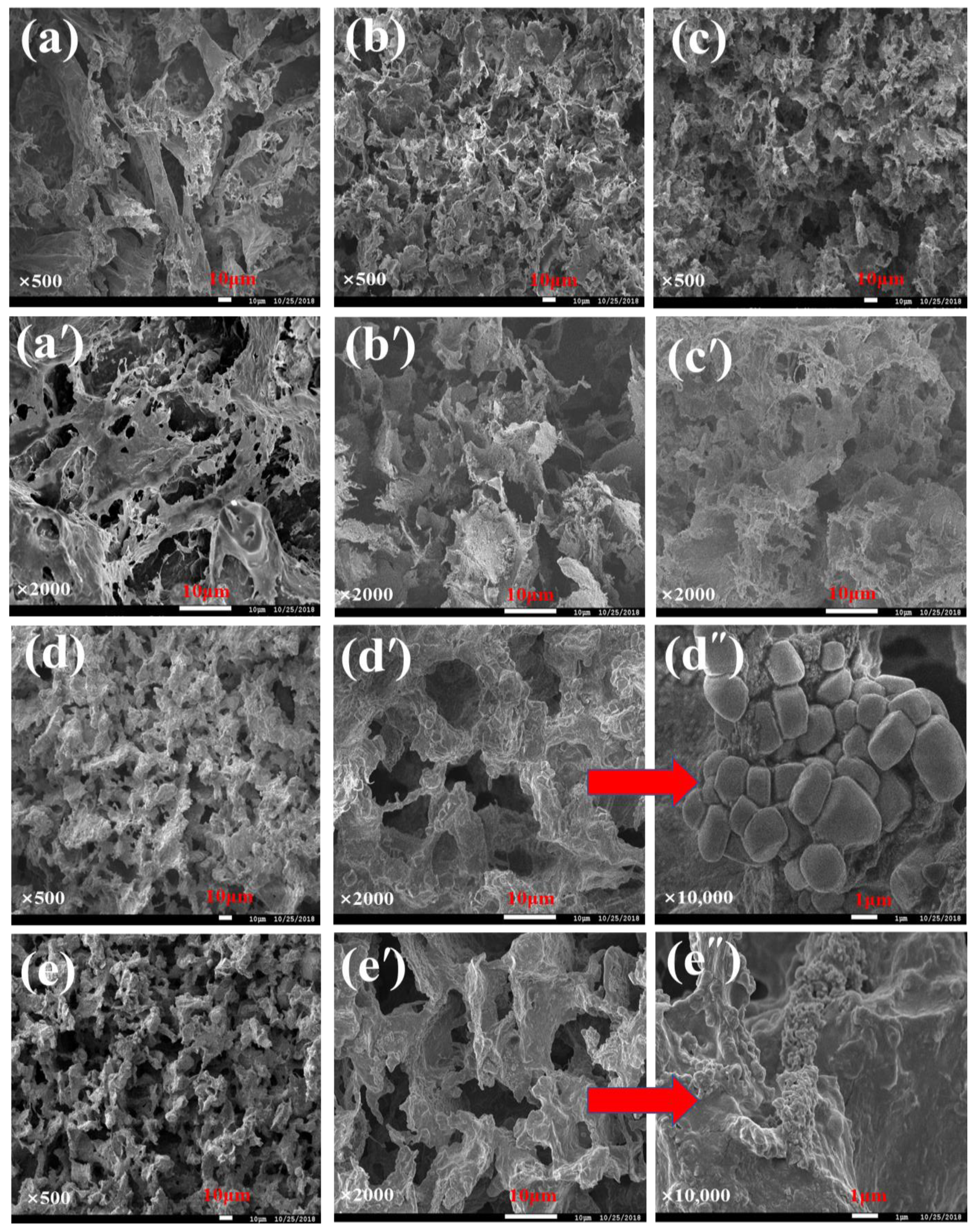 Polymers 15 00657 g001