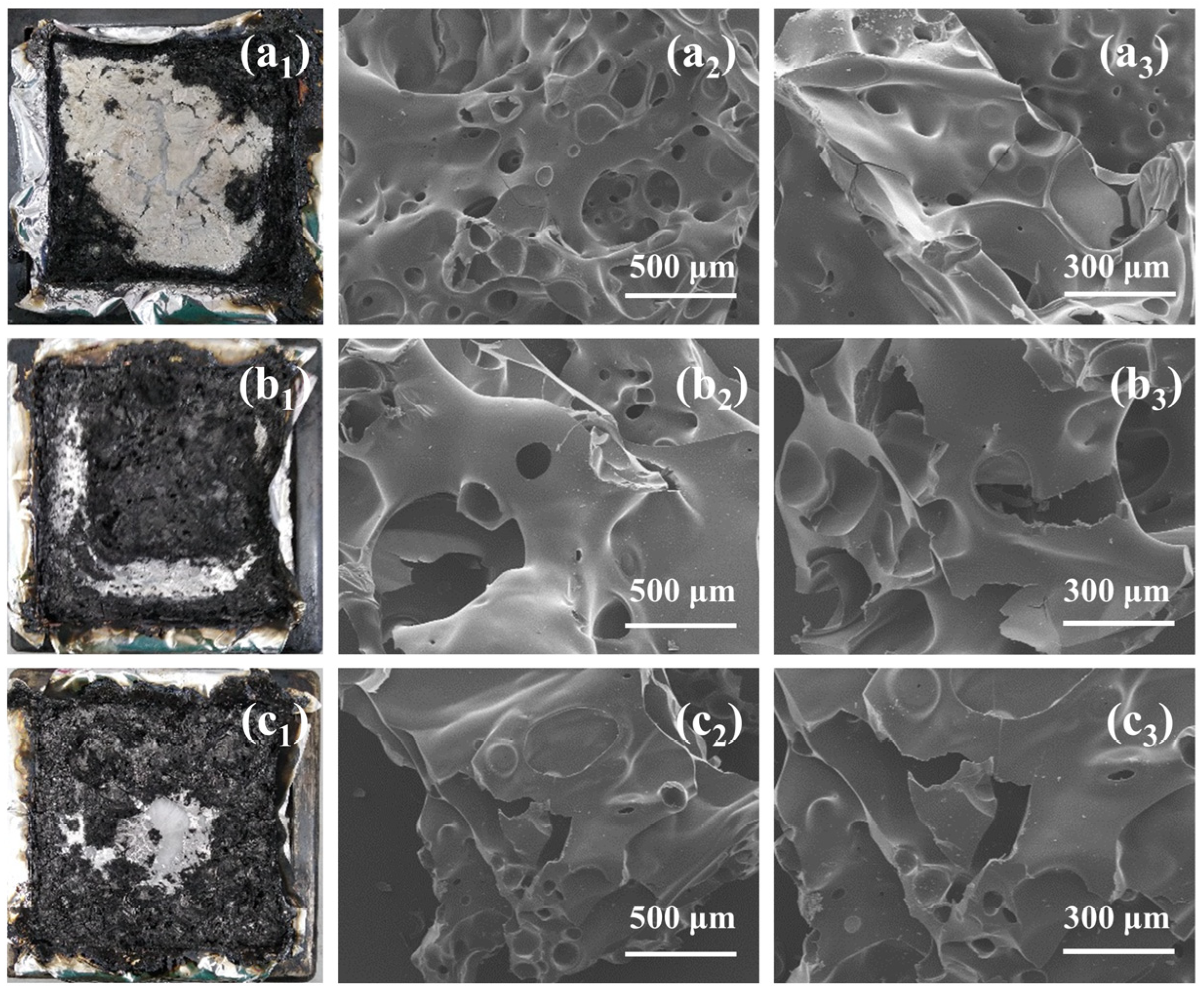 Polymers 15 00662 g009