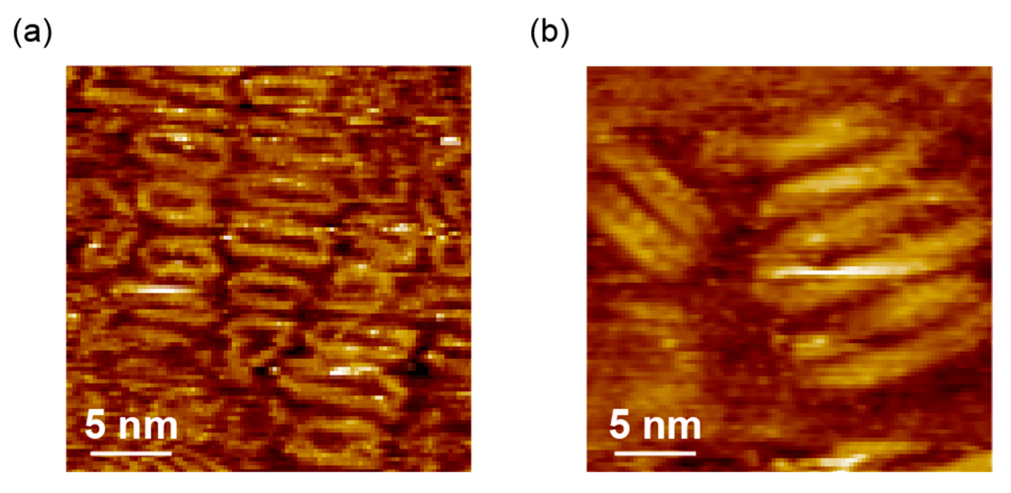 Polymers 15 00666 g002 Polymers 15 00666 g002