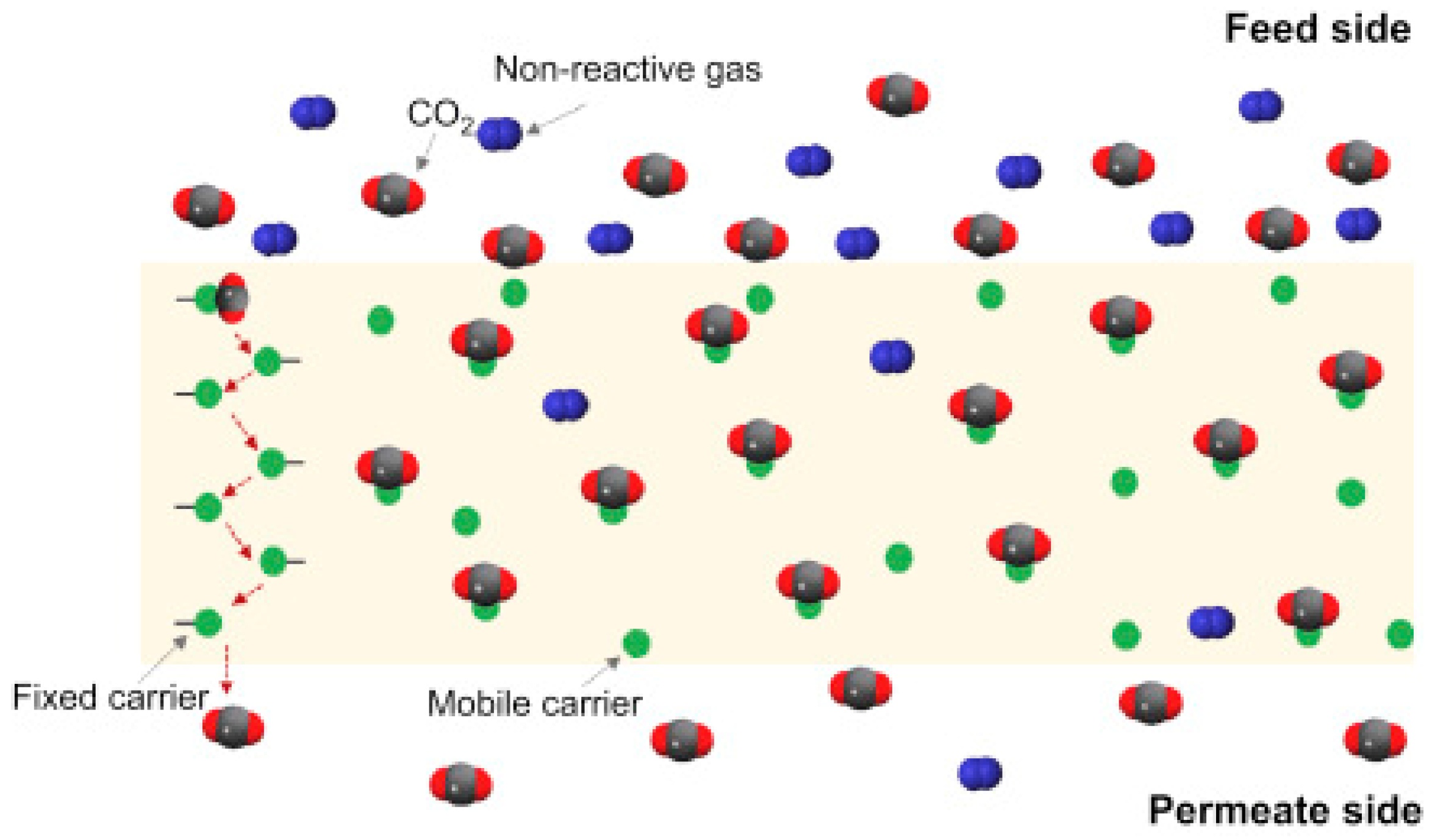 Polymers 15 00667 g001 Polymers 15 00667 g001