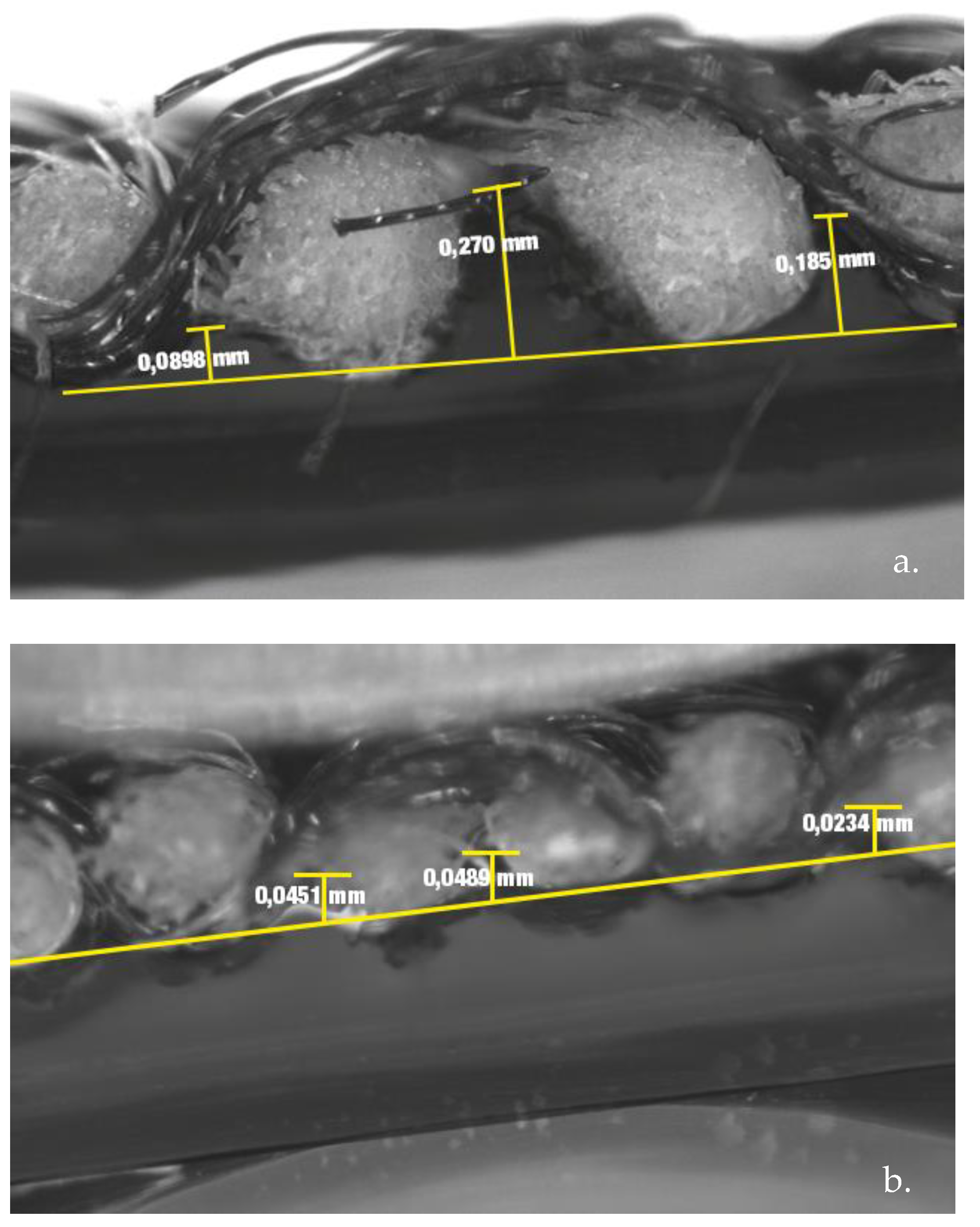 Polymers 15 00668 g011 Polymers 15 00668 g011