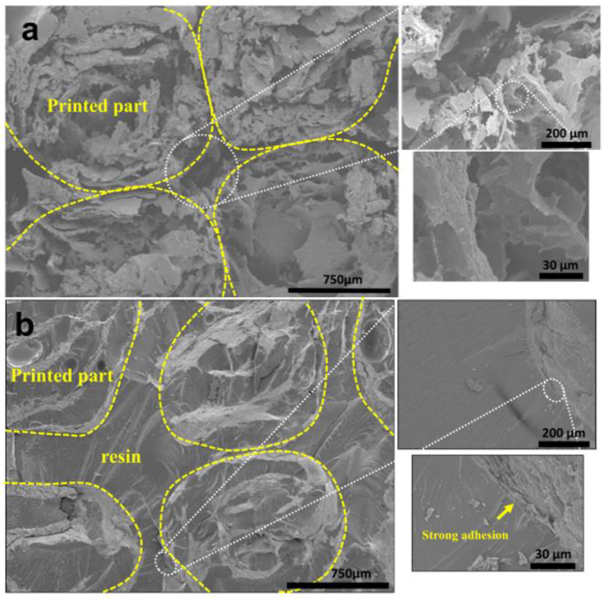 Polymers 15 00669 g007 Polymers 15 00669 g007