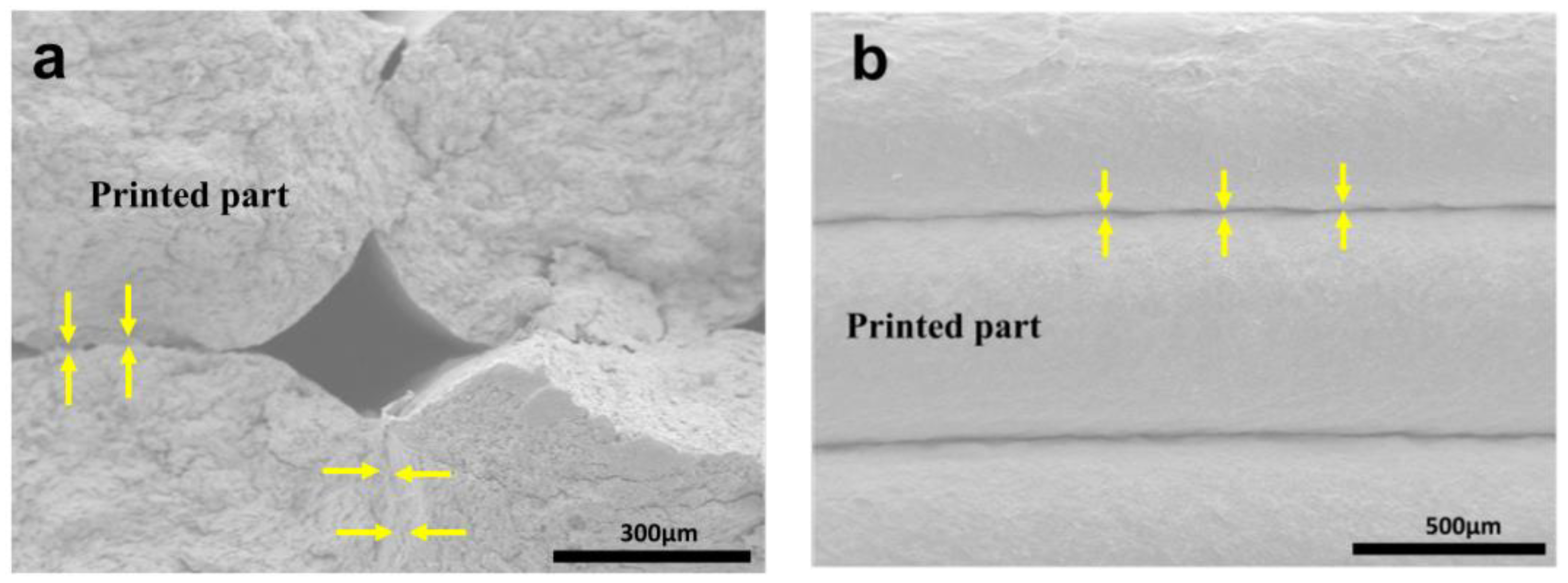 Polymers 15 00669 g008 Polymers 15 00669 g008