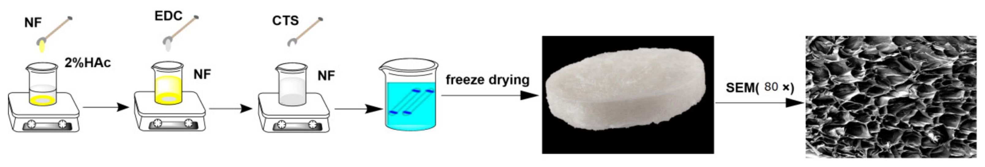 Polymers 15 00672 g001a Polymers 15 00672 g001a