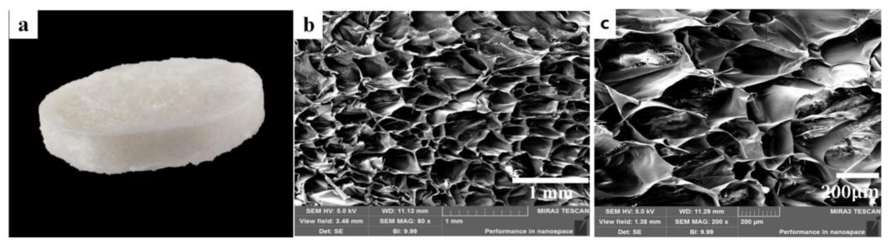 Polymers 15 00672 g003 Polymers 15 00672 g003