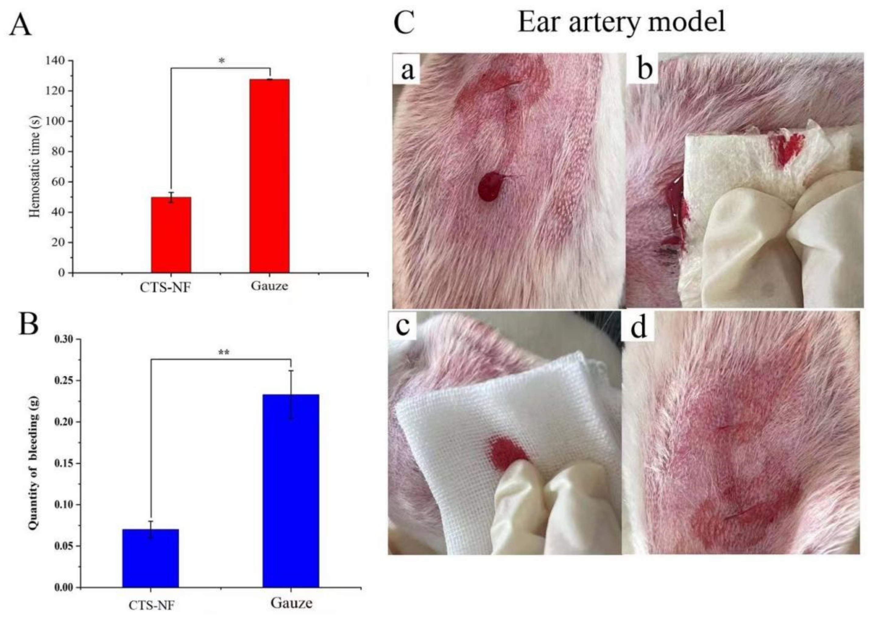Polymers 15 00672 g010 Polymers 15 00672 g010