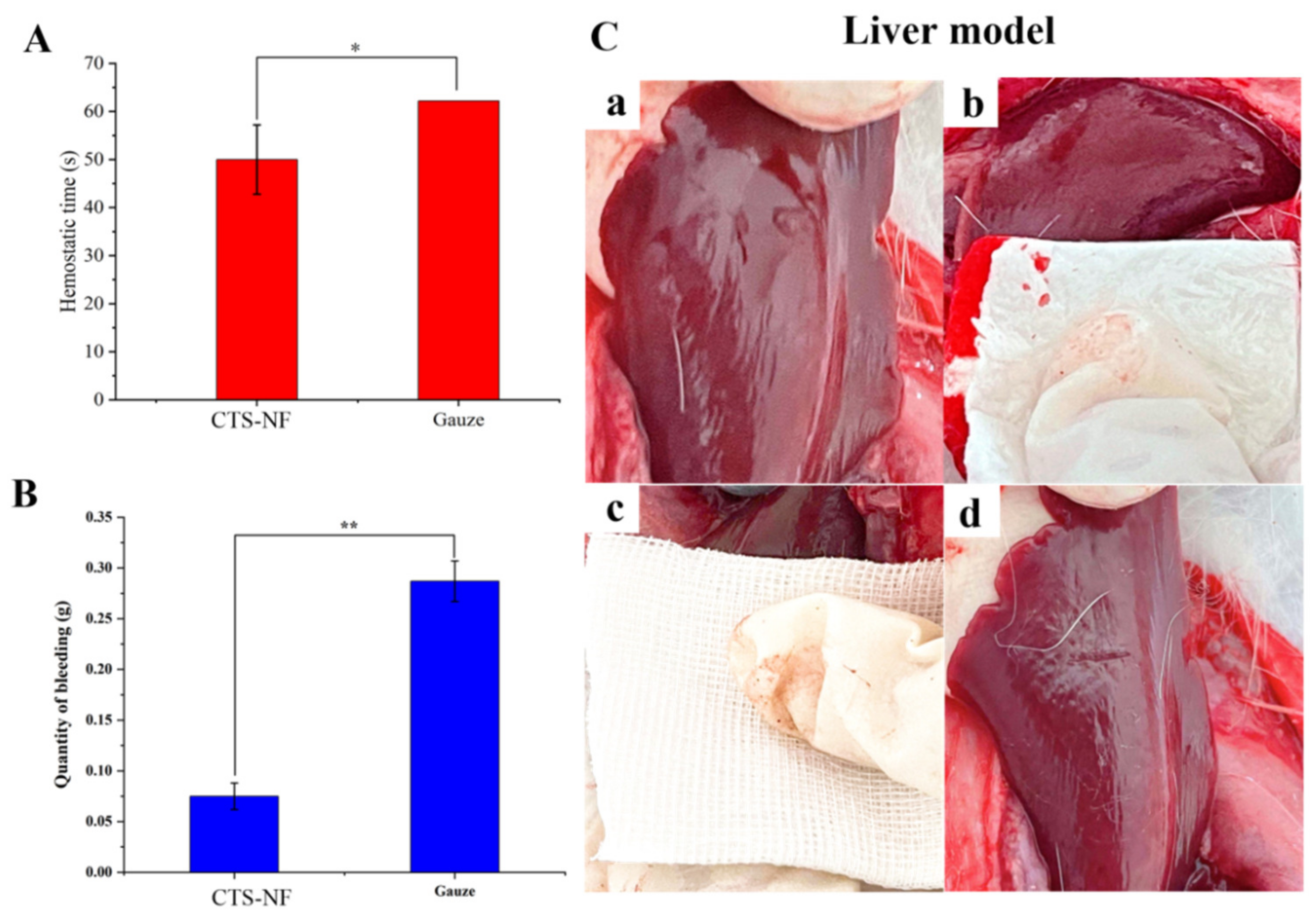 Polymers 15 00672 g011 Polymers 15 00672 g011