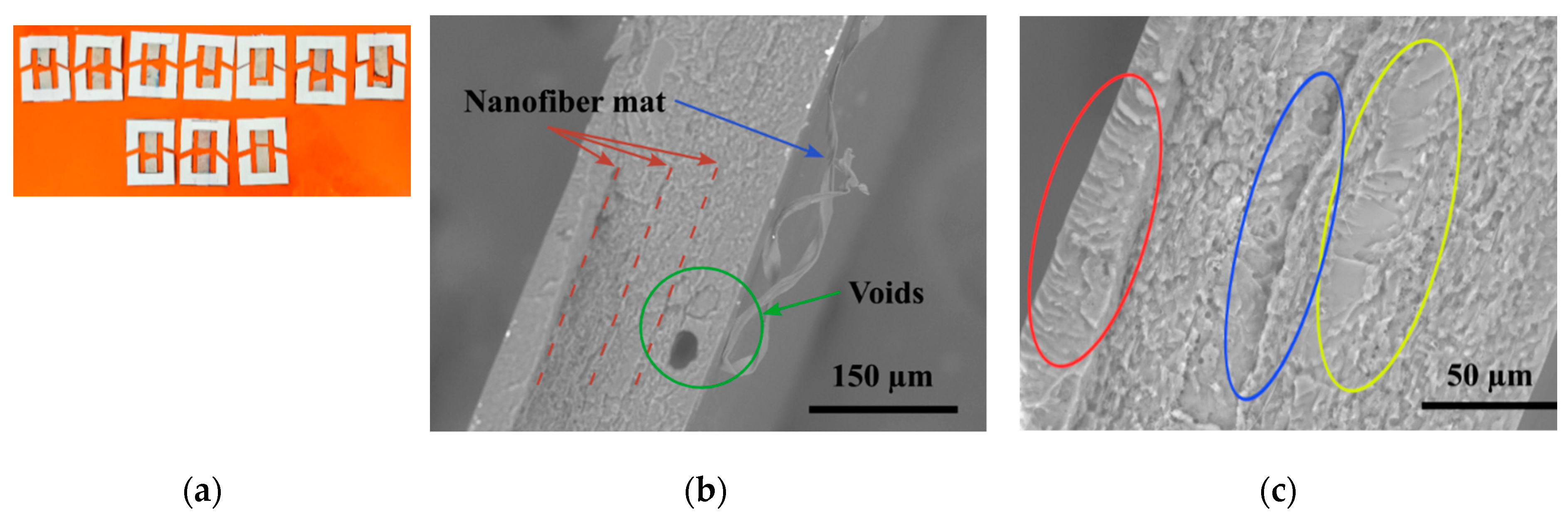 Polymers 15 00673 g010 Polymers 15 00673 g010