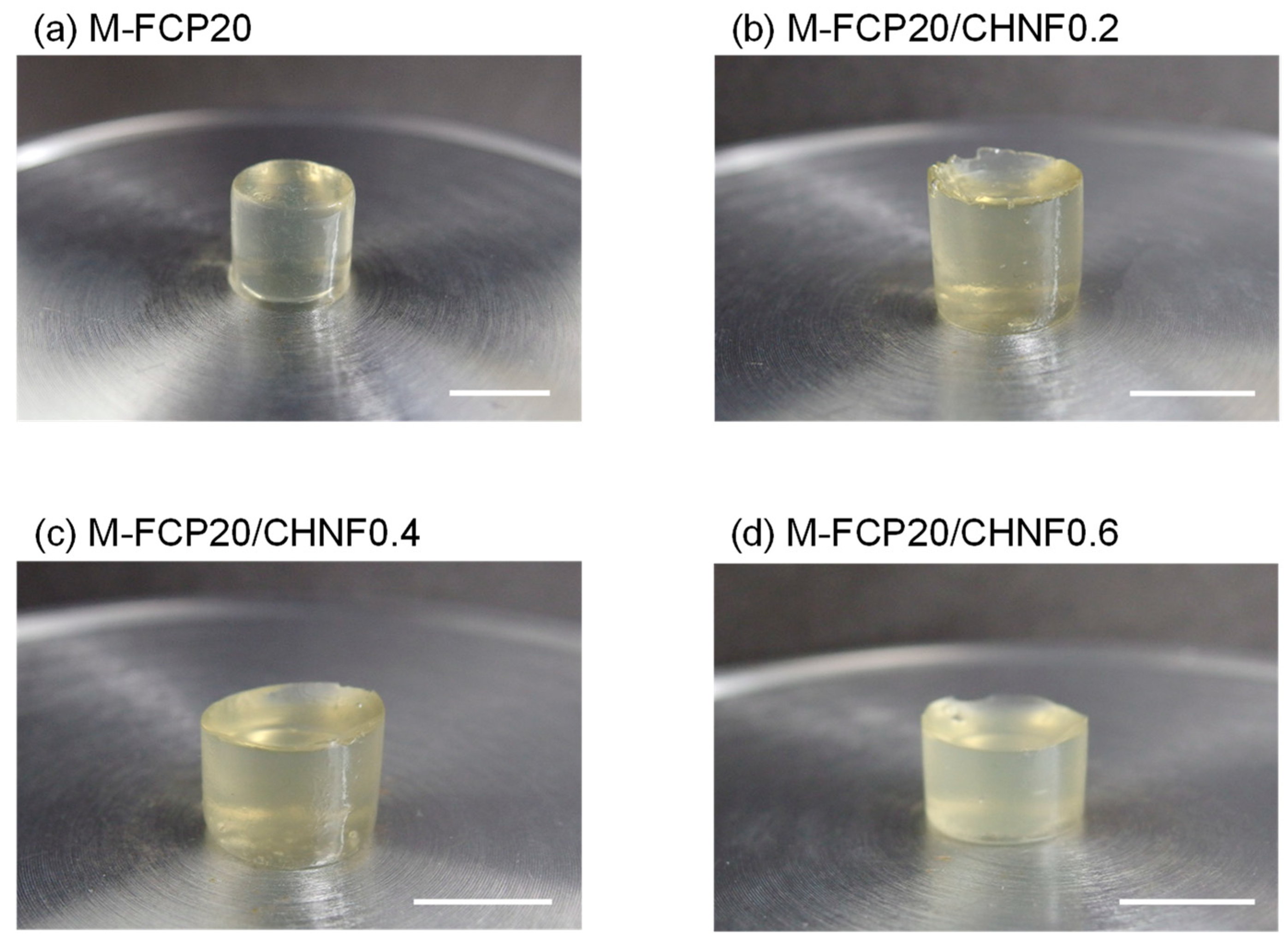 Polymers 15 00682 g001