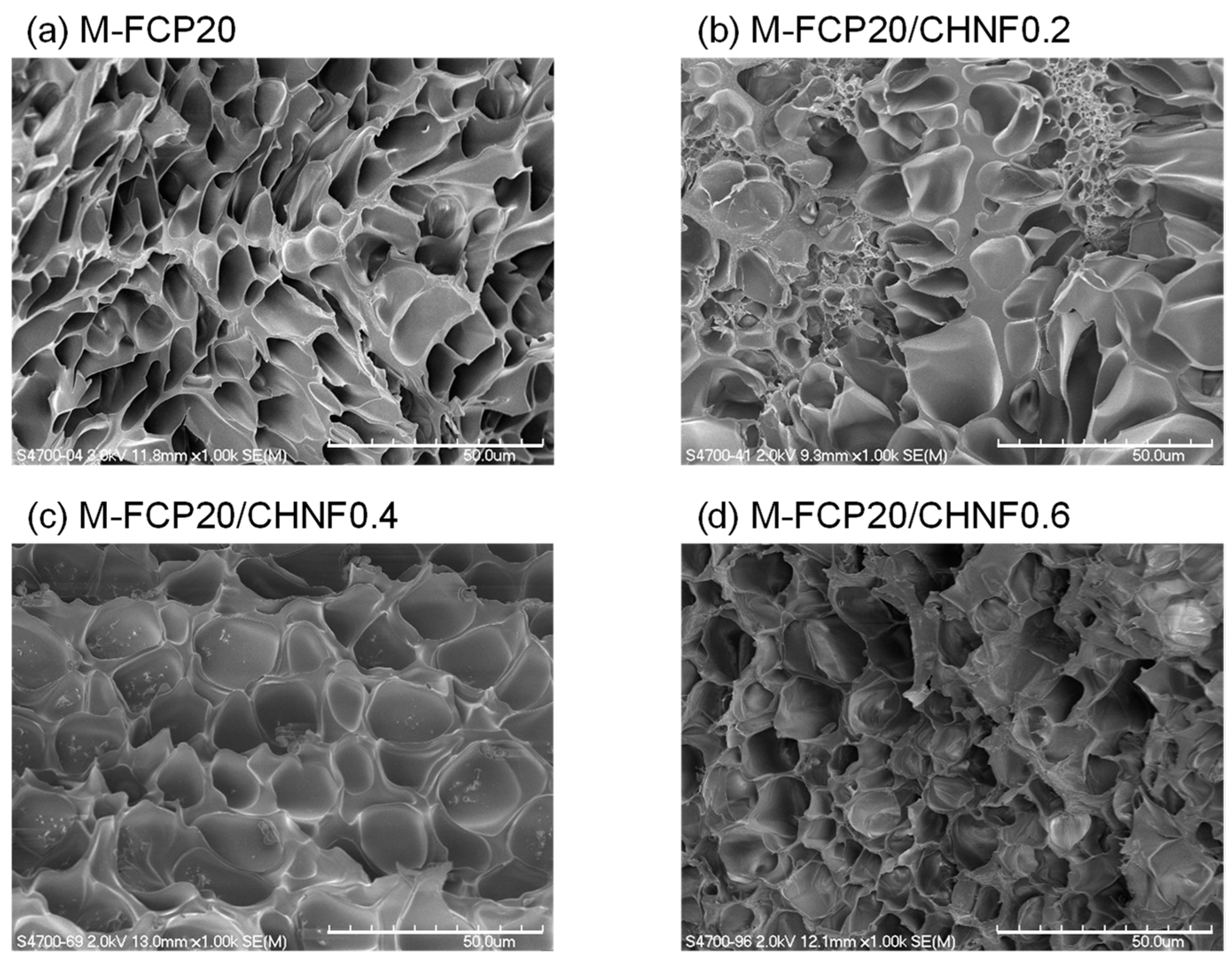 Polymers 15 00682 g002