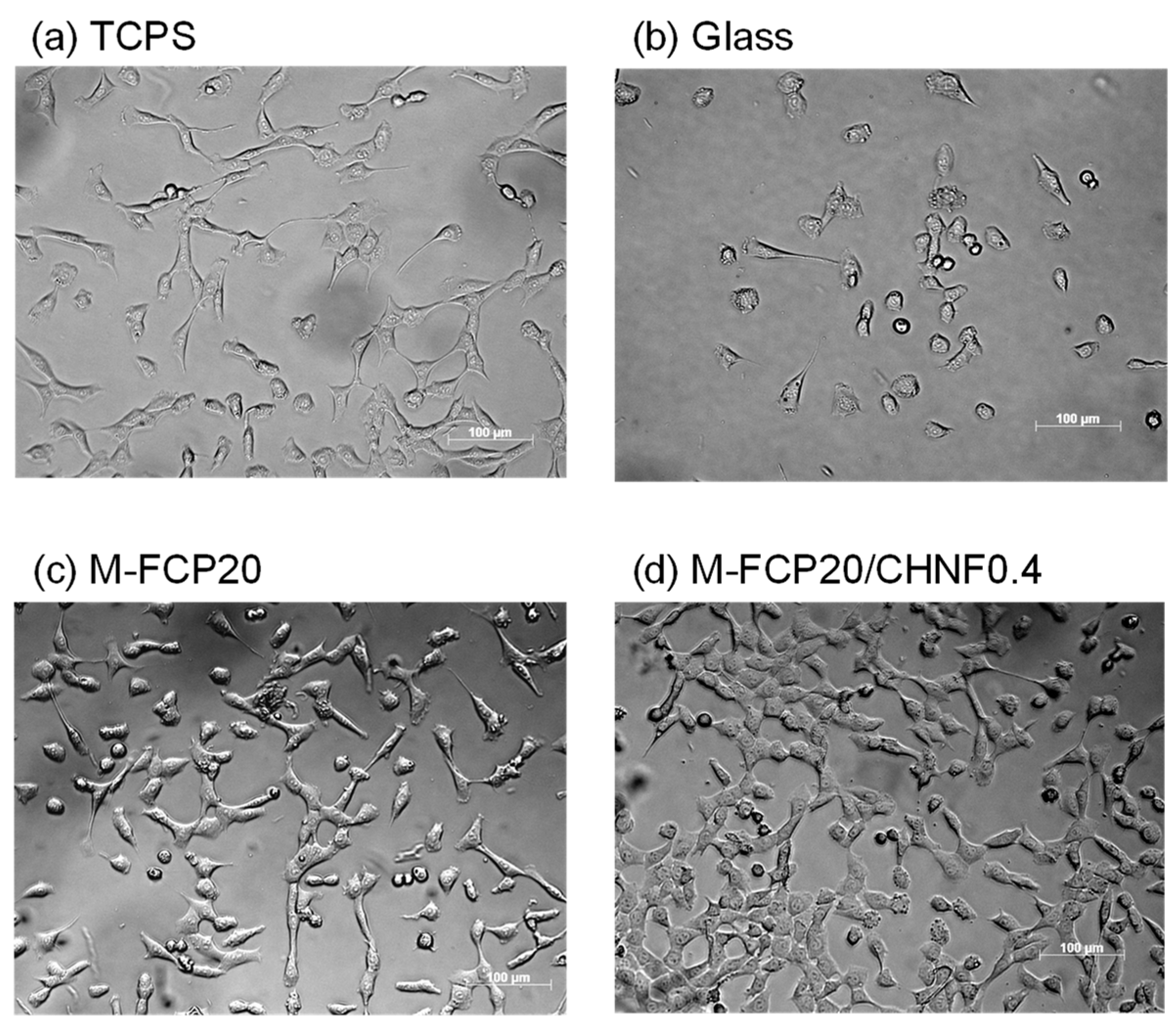 Polymers 15 00682 g005
