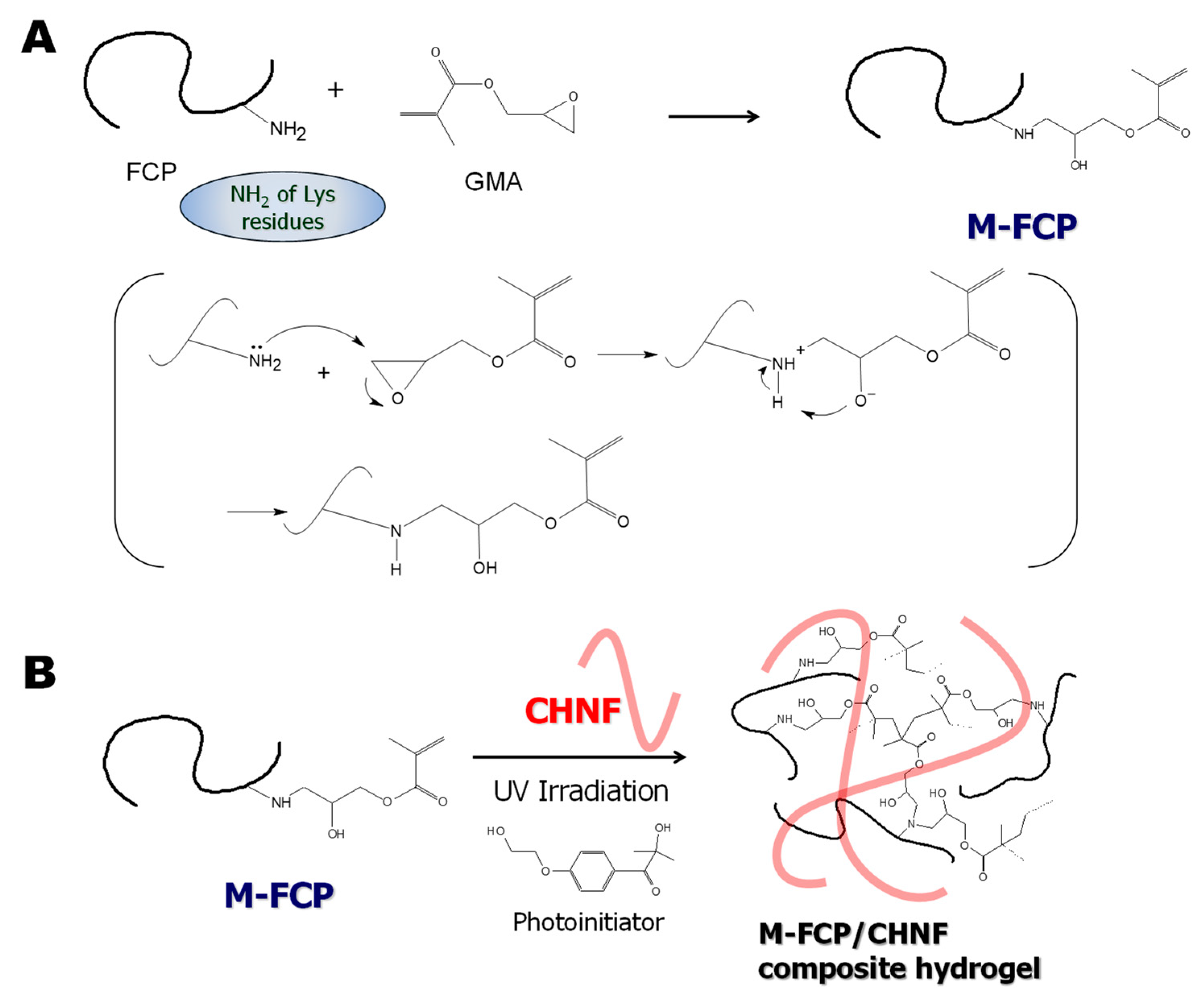 Polymers 15 00682 sch001