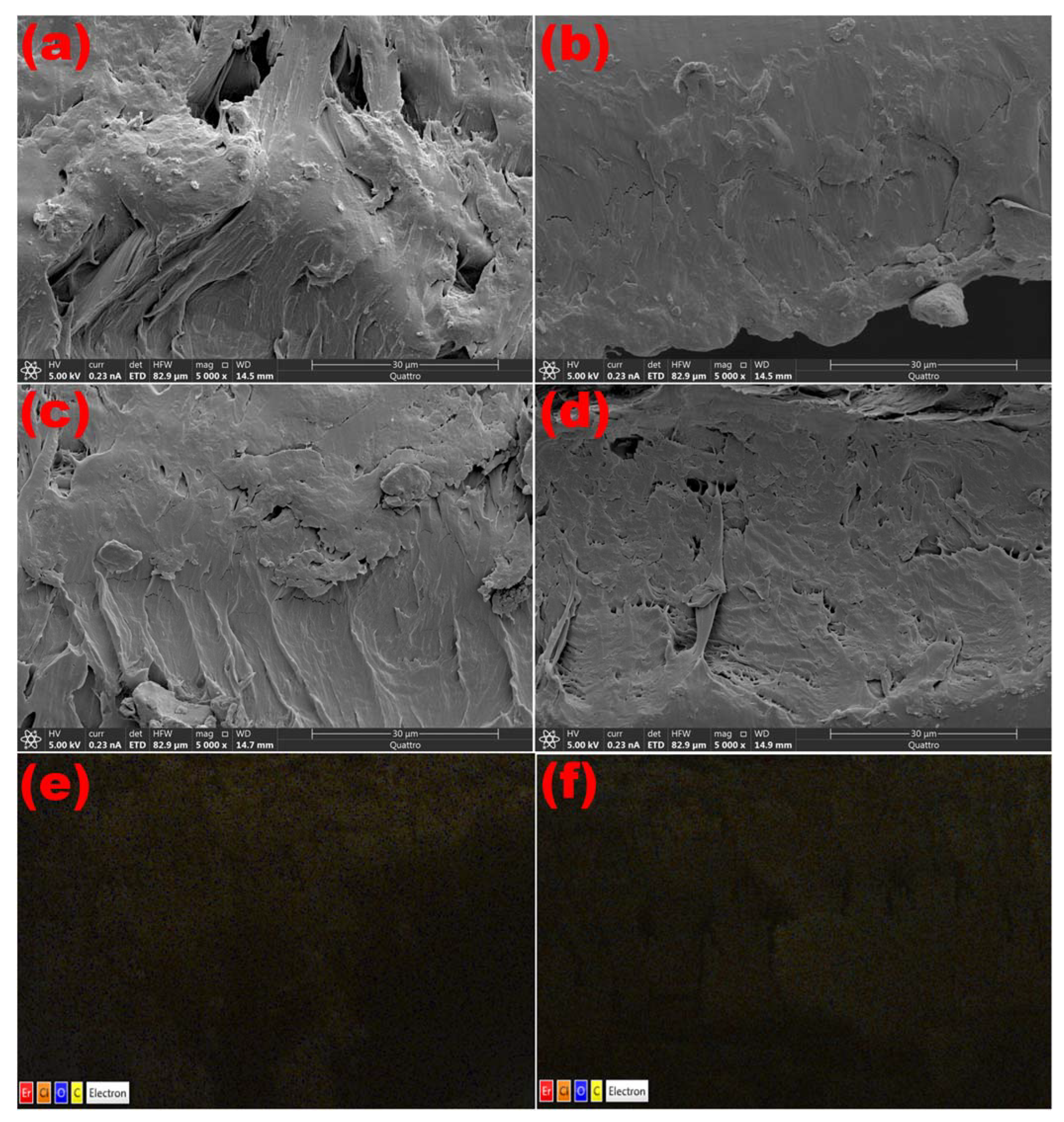 Polymers 15 00684 g002