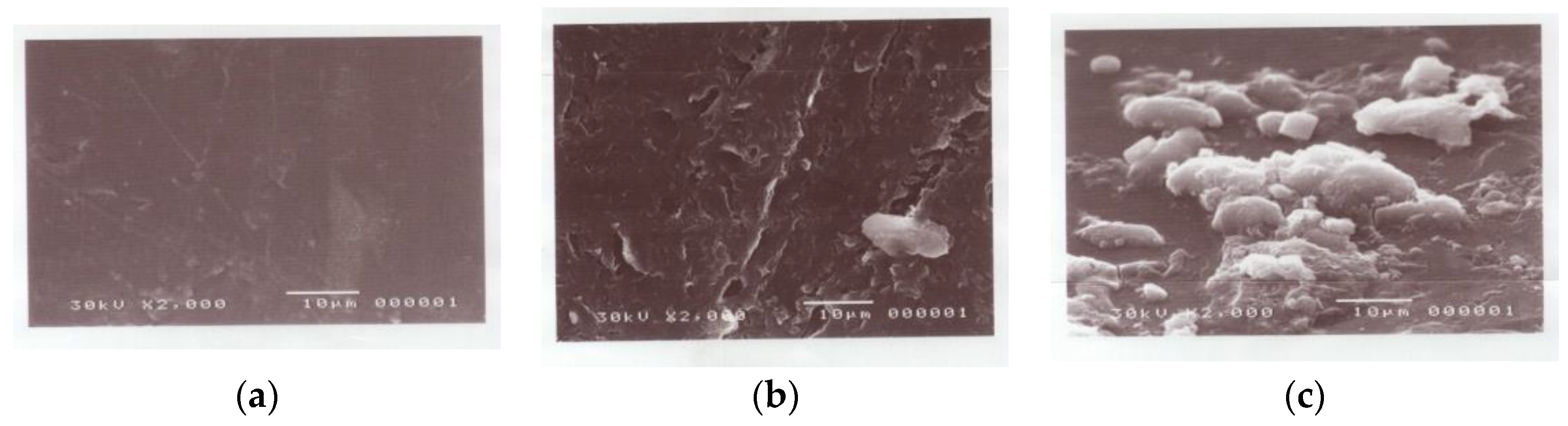 Polymers 15 00686 g010