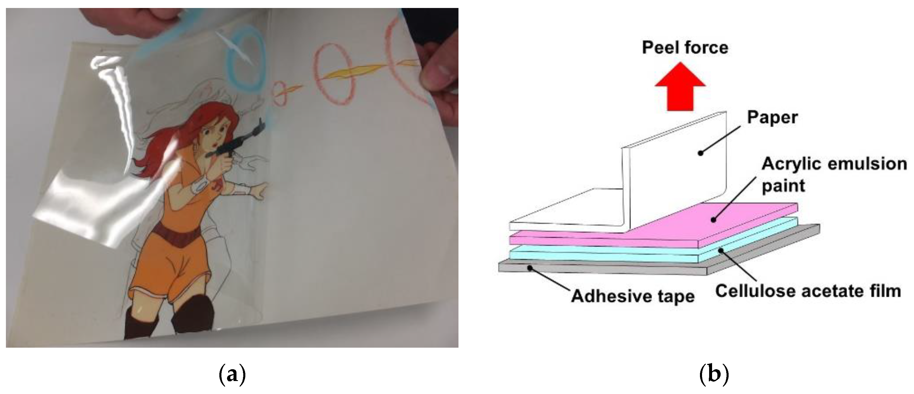Polymers | Free Full-Text | Development of a Method for Peeling Off Paper from Celluloid Pictures for Animation Films Polymers | Free Full-Text | Development of a Method for Peeling Off Paper from Celluloid Pictures for Animation Films