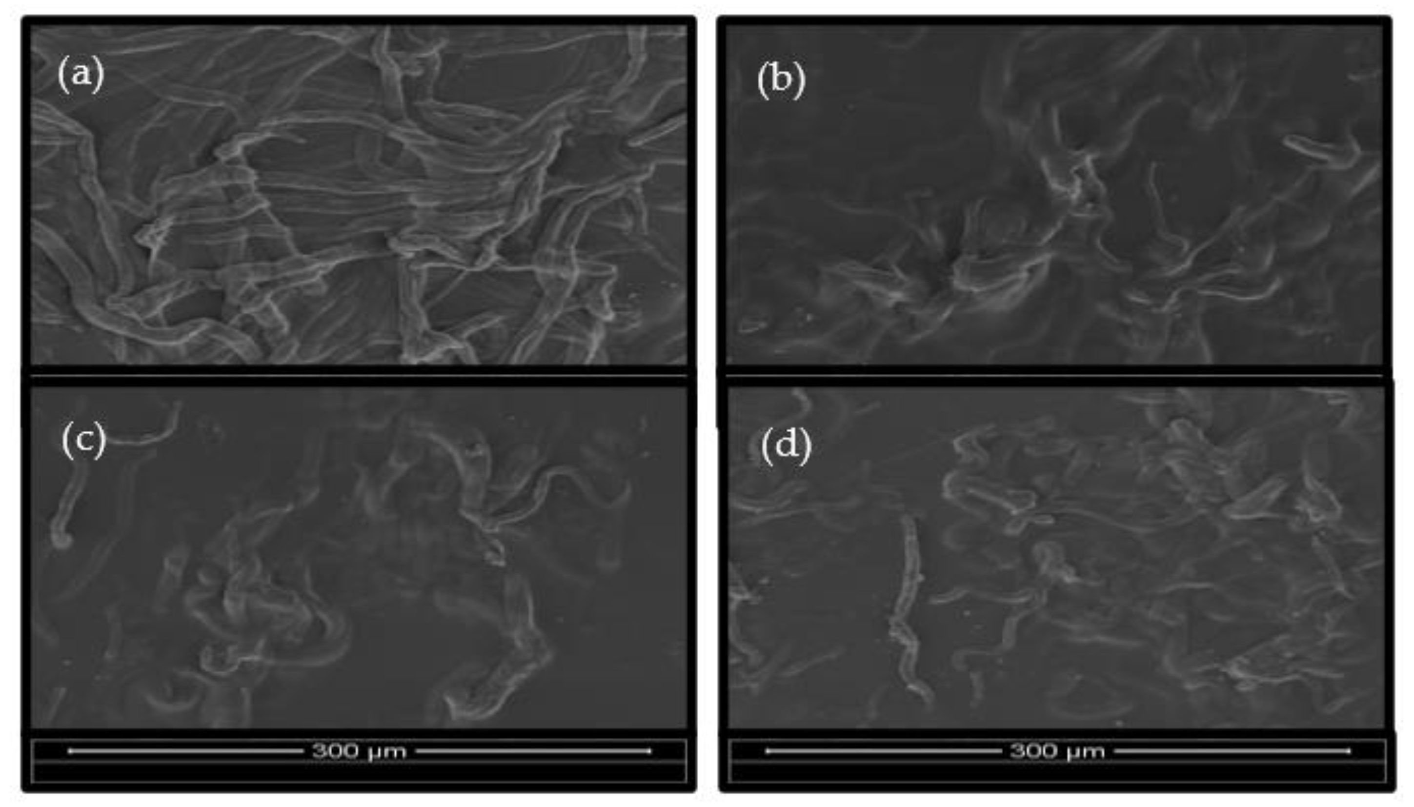 Polymers 15 00691 g007