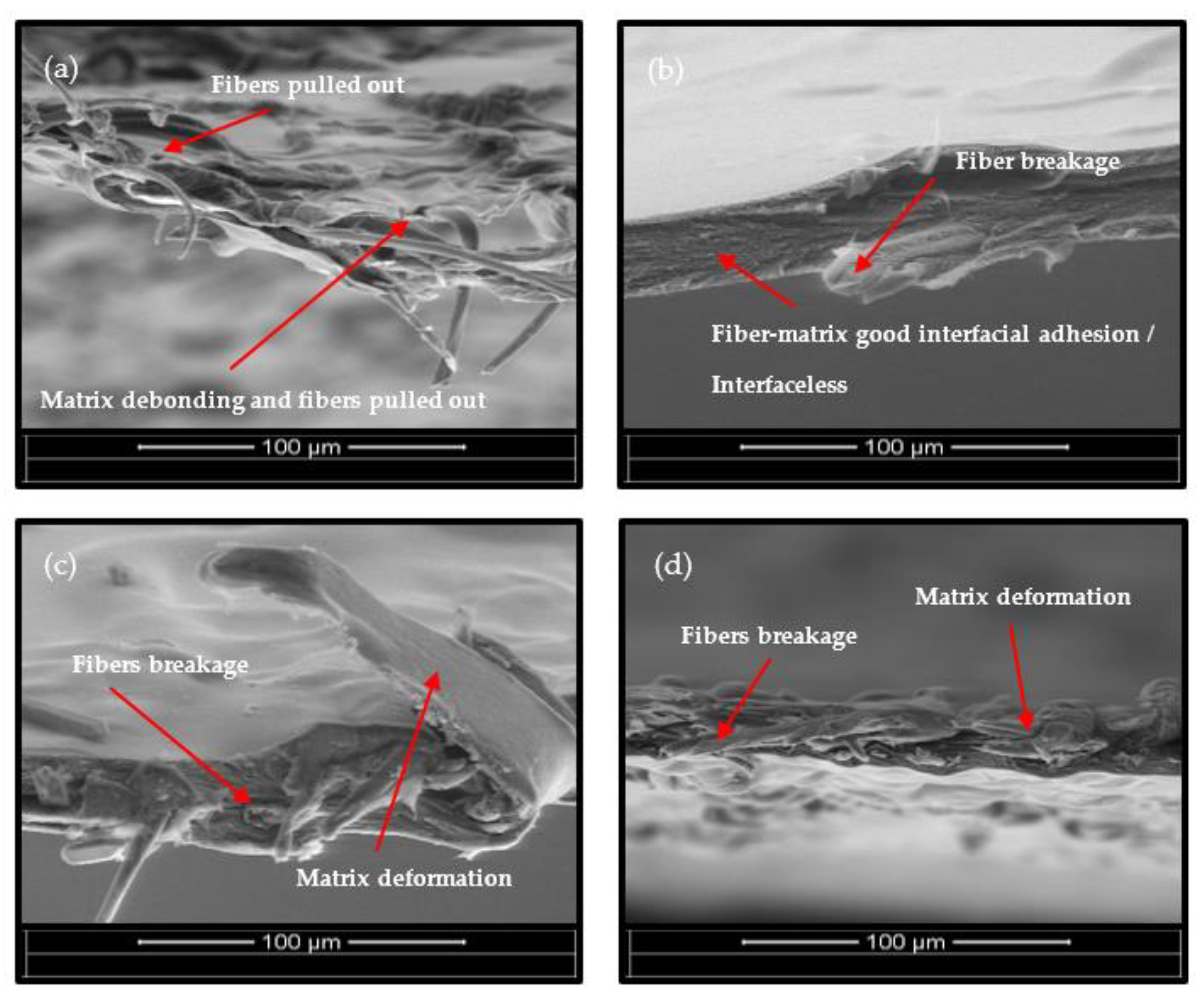Polymers 15 00691 g008