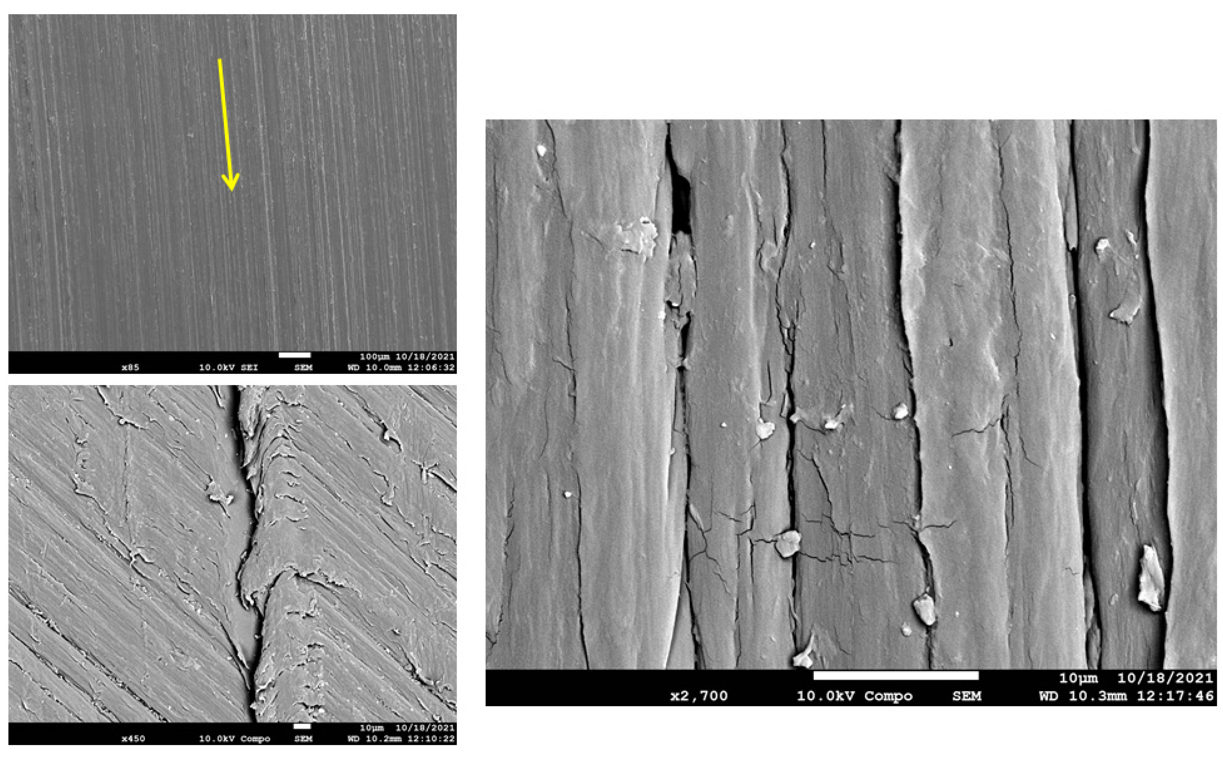 Polymers 15 00694 g014