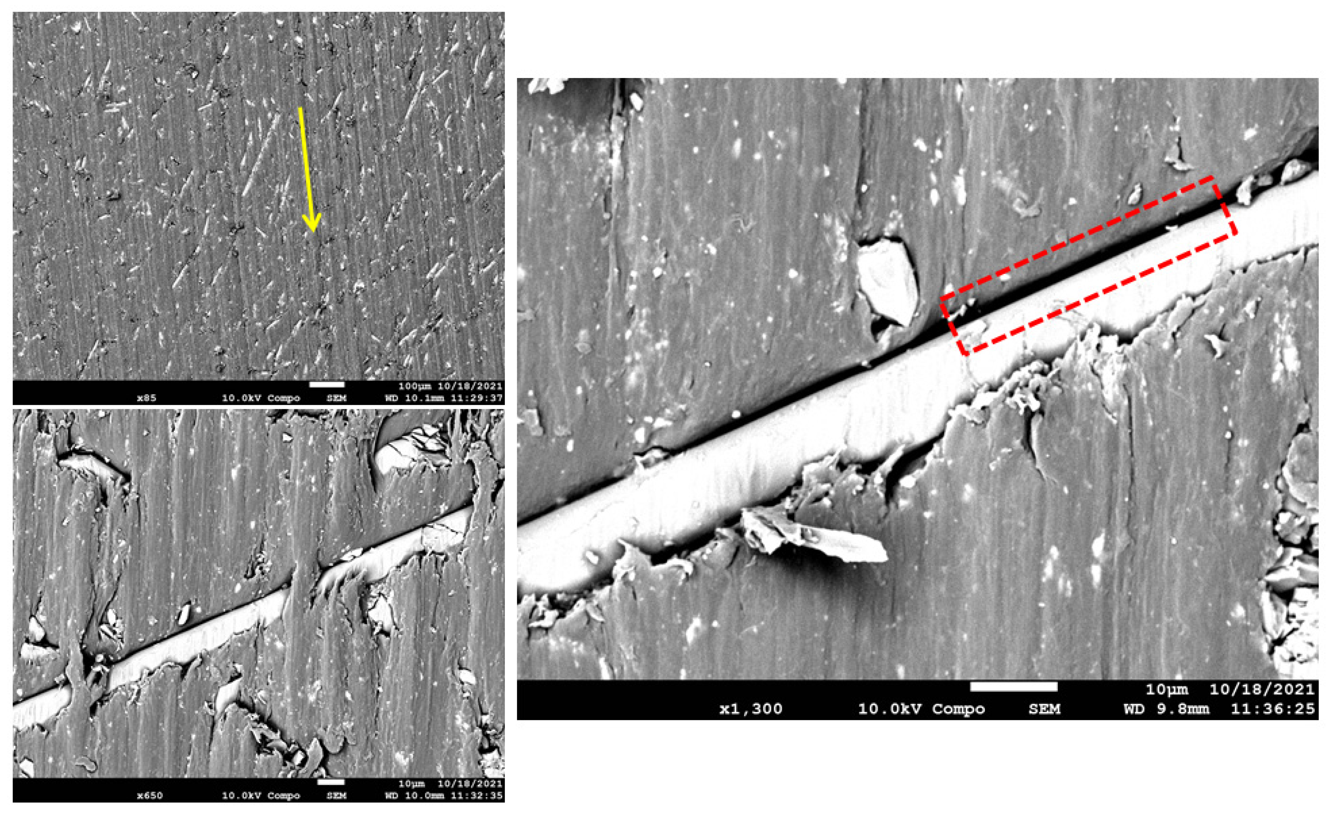 Polymers 15 00694 g015